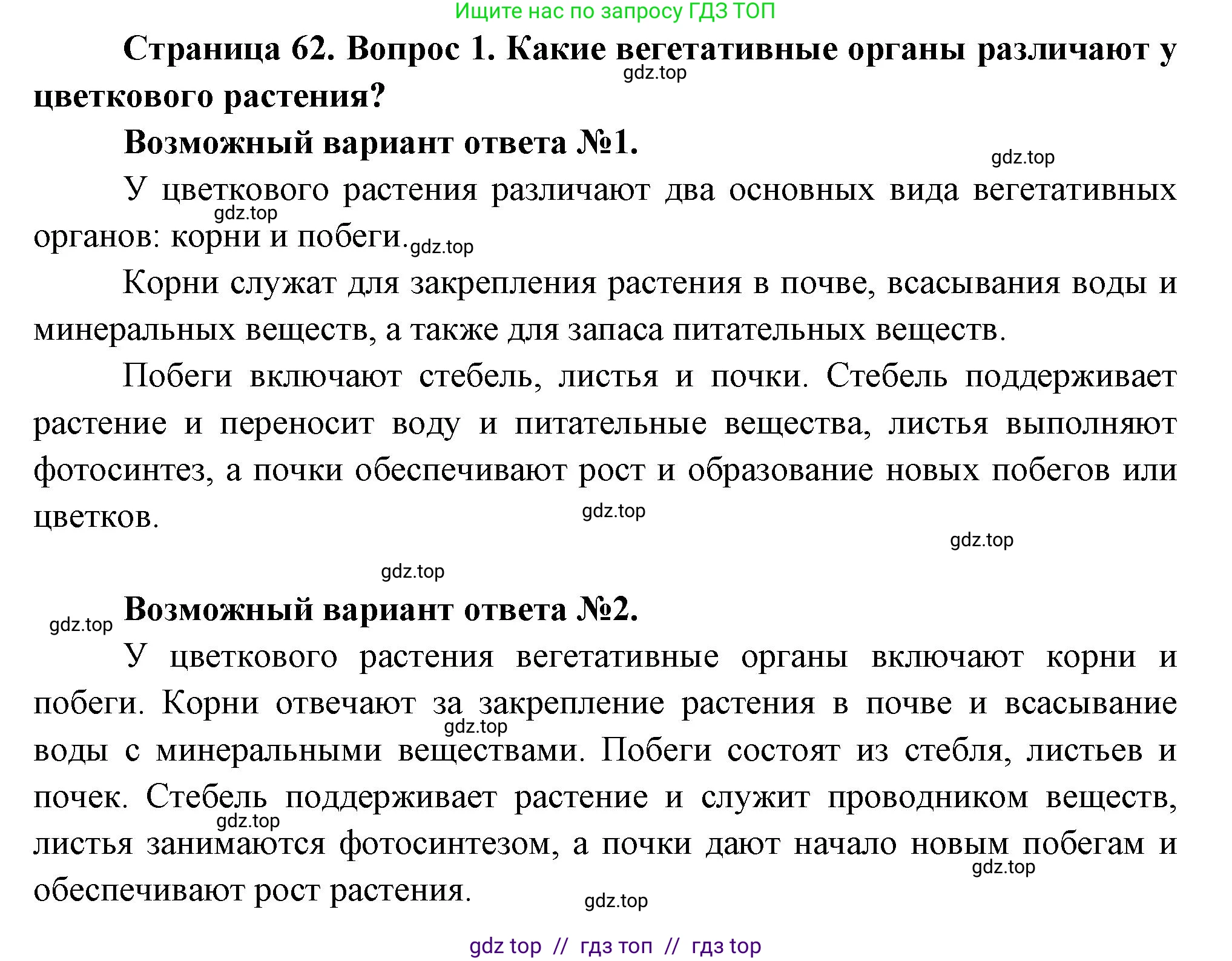Биология, 6 класс Учебник, авторы: Пасечник Владимир Васильевич, Суматохин Сергей Витальевич, Гапонюк Зоя Георгиевна, Швецов Глеб Геннадьевич, издательство Просвещение, Москва, 2023, белого цвета, страница 62, номер 1, Решение 3