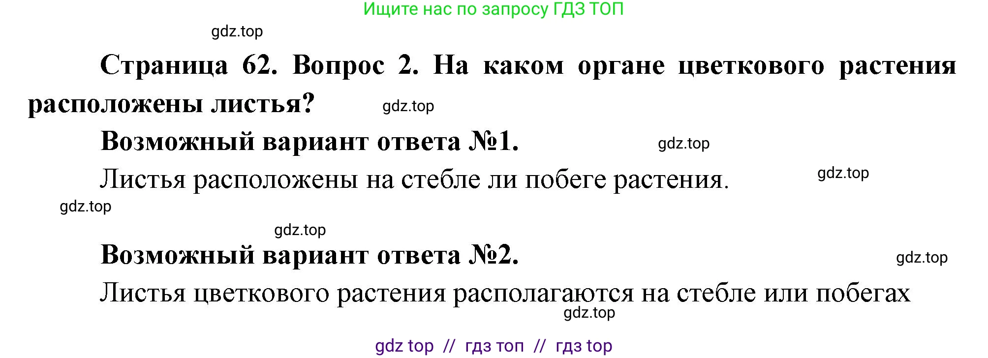 Биология, 6 класс Учебник, авторы: Пасечник Владимир Васильевич, Суматохин Сергей Витальевич, Гапонюк Зоя Георгиевна, Швецов Глеб Геннадьевич, издательство Просвещение, Москва, 2023, белого цвета, страница 62, номер 2, Решение 3