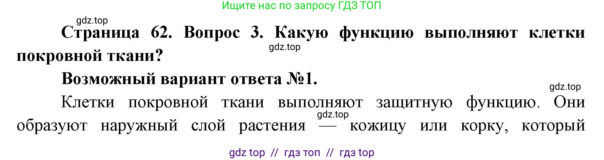 Биология, 6 класс Учебник, авторы: Пасечник Владимир Васильевич, Суматохин Сергей Витальевич, Гапонюк Зоя Георгиевна, Швецов Глеб Геннадьевич, издательство Просвещение, Москва, 2023, белого цвета, страница 62, номер 3, Решение 3