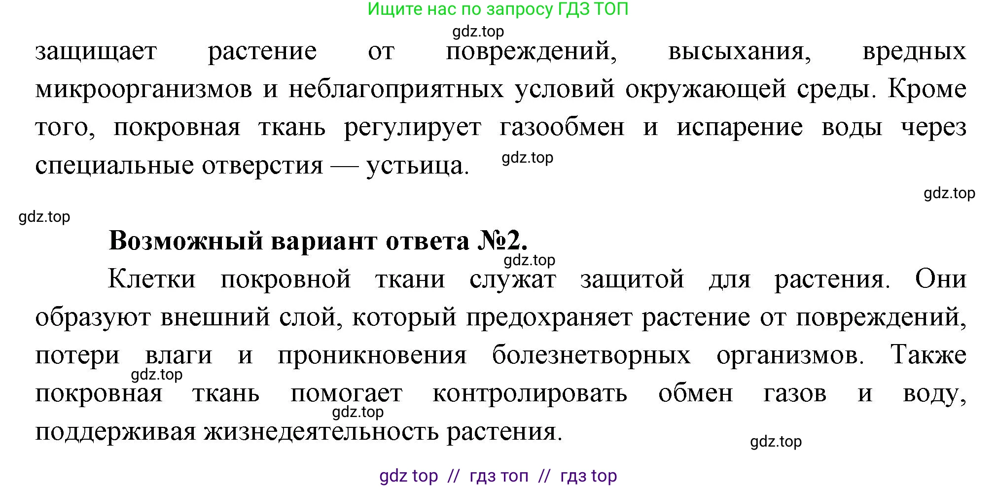 Биология, 6 класс Учебник, авторы: Пасечник Владимир Васильевич, Суматохин Сергей Витальевич, Гапонюк Зоя Георгиевна, Швецов Глеб Геннадьевич, издательство Просвещение, Москва, 2023, белого цвета, страница 62, номер 3, Решение 3 (продолжение 2)