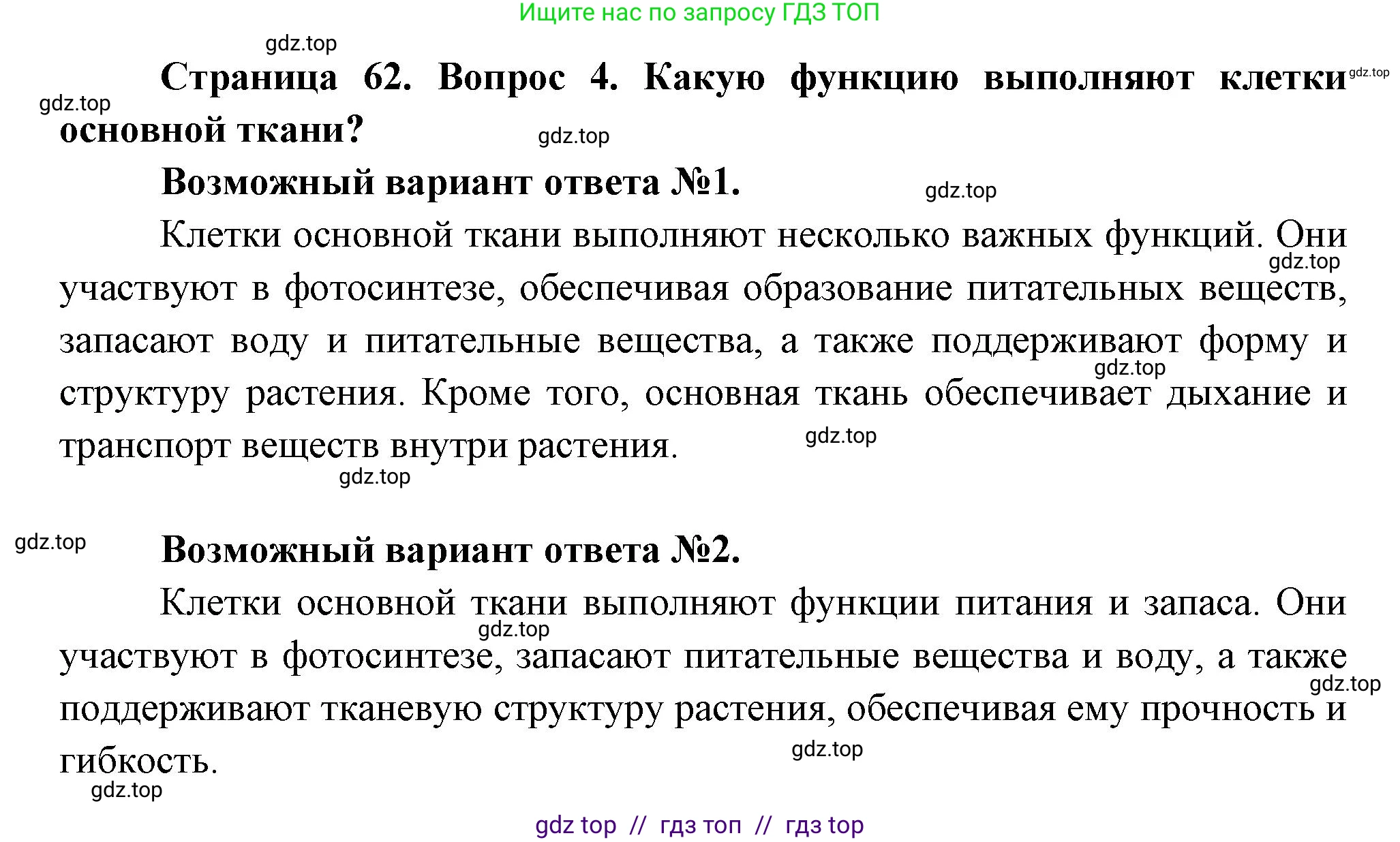 Биология, 6 класс Учебник, авторы: Пасечник Владимир Васильевич, Суматохин Сергей Витальевич, Гапонюк Зоя Георгиевна, Швецов Глеб Геннадьевич, издательство Просвещение, Москва, 2023, белого цвета, страница 62, номер 4, Решение 3