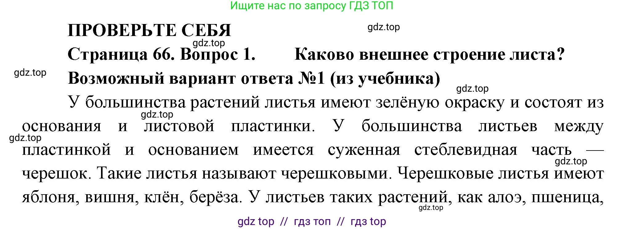 Биология, 6 класс Учебник, авторы: Пасечник Владимир Васильевич, Суматохин Сергей Витальевич, Гапонюк Зоя Георгиевна, Швецов Глеб Геннадьевич, издательство Просвещение, Москва, 2023, белого цвета, страница 66, номер 1, Решение 3
