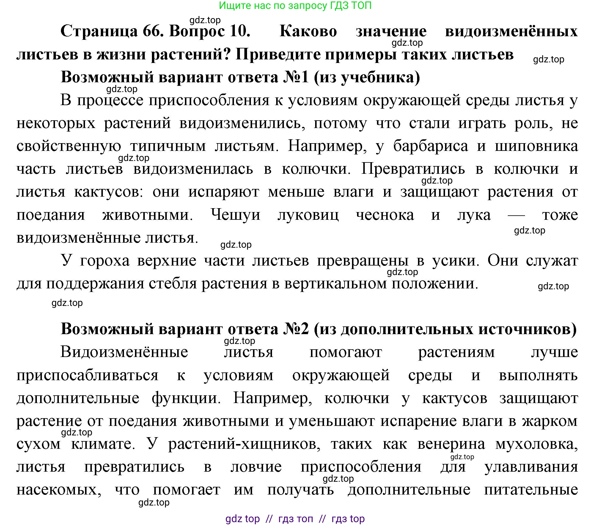 Биология, 6 класс Учебник, авторы: Пасечник Владимир Васильевич, Суматохин Сергей Витальевич, Гапонюк Зоя Георгиевна, Швецов Глеб Геннадьевич, издательство Просвещение, Москва, 2023, белого цвета, страница 66, номер 10, Решение 3