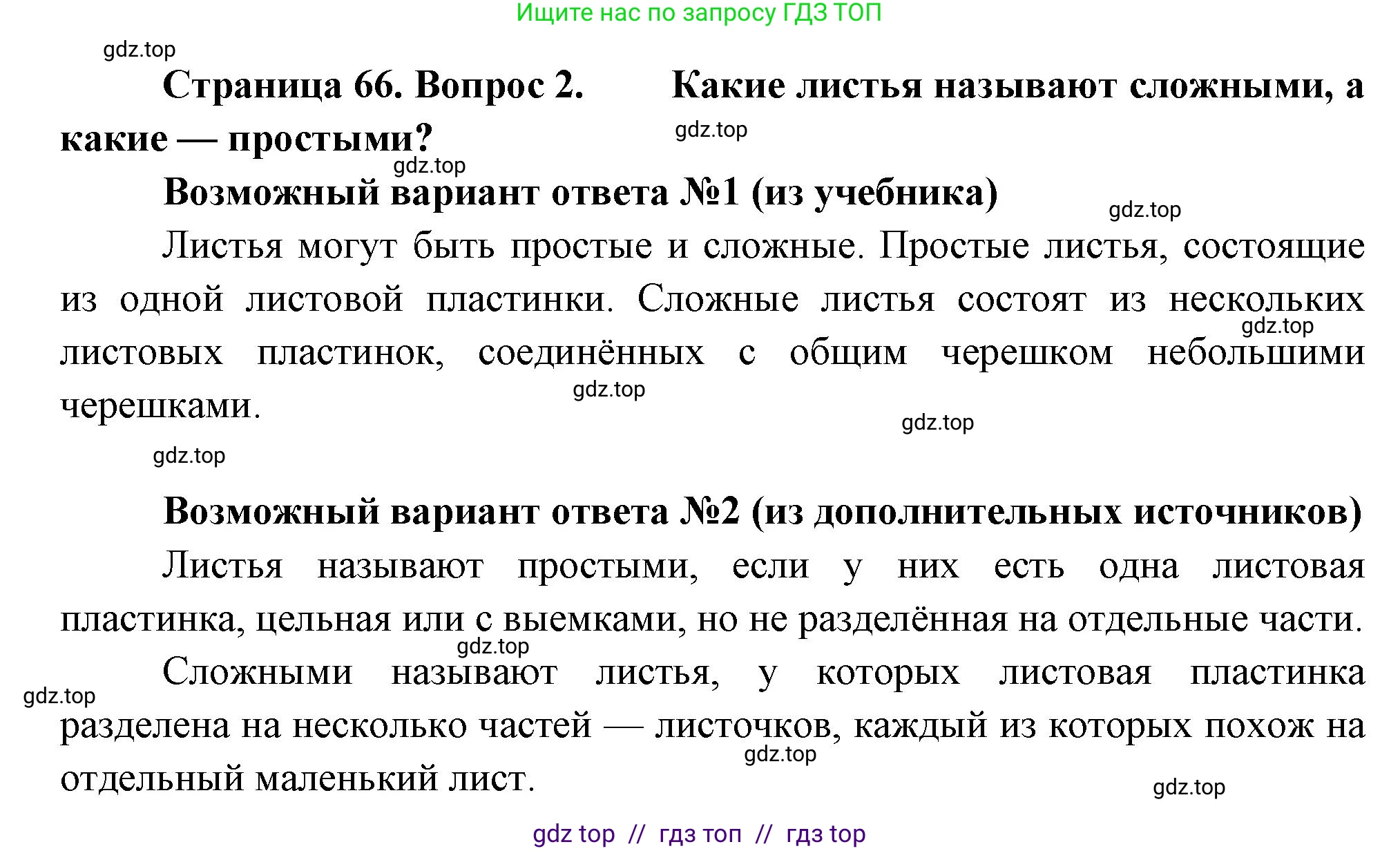Биология, 6 класс Учебник, авторы: Пасечник Владимир Васильевич, Суматохин Сергей Витальевич, Гапонюк Зоя Георгиевна, Швецов Глеб Геннадьевич, издательство Просвещение, Москва, 2023, белого цвета, страница 66, номер 2, Решение 3