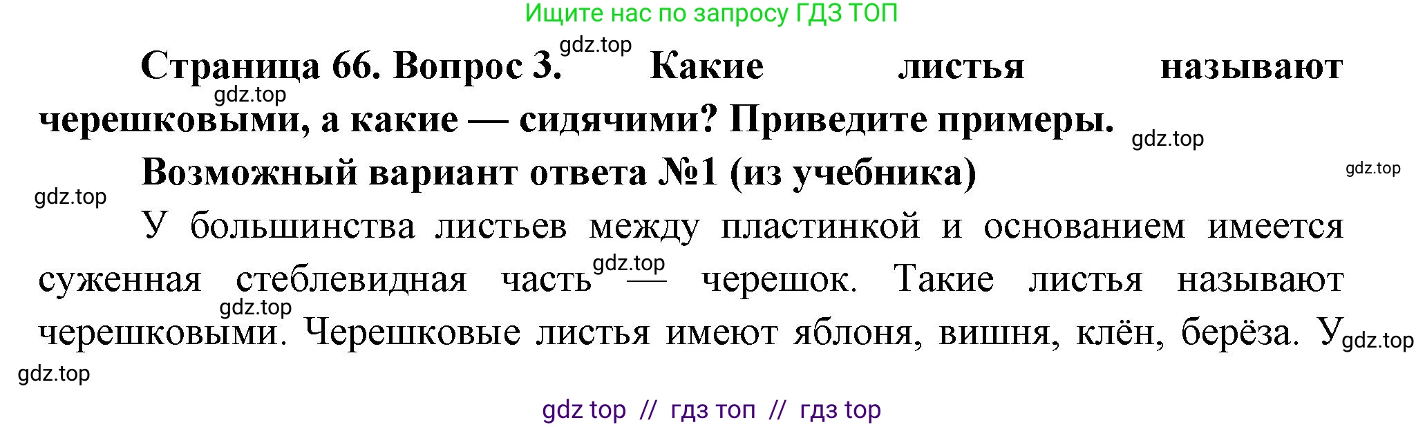 Биология, 6 класс Учебник, авторы: Пасечник Владимир Васильевич, Суматохин Сергей Витальевич, Гапонюк Зоя Георгиевна, Швецов Глеб Геннадьевич, издательство Просвещение, Москва, 2023, белого цвета, страница 66, номер 3, Решение 3