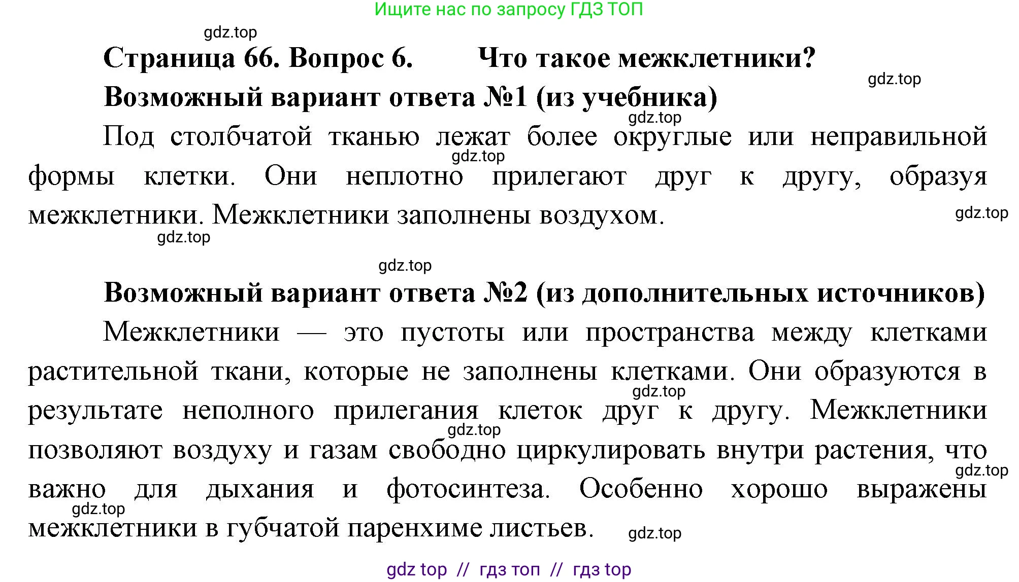 Биология, 6 класс Учебник, авторы: Пасечник Владимир Васильевич, Суматохин Сергей Витальевич, Гапонюк Зоя Георгиевна, Швецов Глеб Геннадьевич, издательство Просвещение, Москва, 2023, белого цвета, страница 66, номер 6, Решение 3