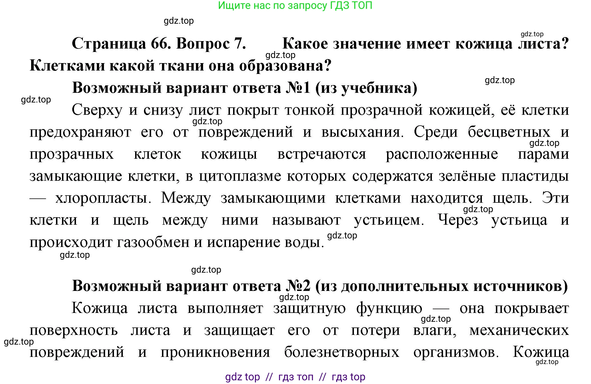 Биология, 6 класс Учебник, авторы: Пасечник Владимир Васильевич, Суматохин Сергей Витальевич, Гапонюк Зоя Георгиевна, Швецов Глеб Геннадьевич, издательство Просвещение, Москва, 2023, белого цвета, страница 66, номер 7, Решение 3