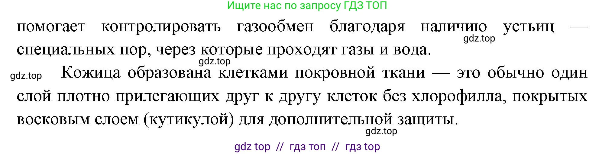 Биология, 6 класс Учебник, авторы: Пасечник Владимир Васильевич, Суматохин Сергей Витальевич, Гапонюк Зоя Георгиевна, Швецов Глеб Геннадьевич, издательство Просвещение, Москва, 2023, белого цвета, страница 66, номер 7, Решение 3 (продолжение 2)