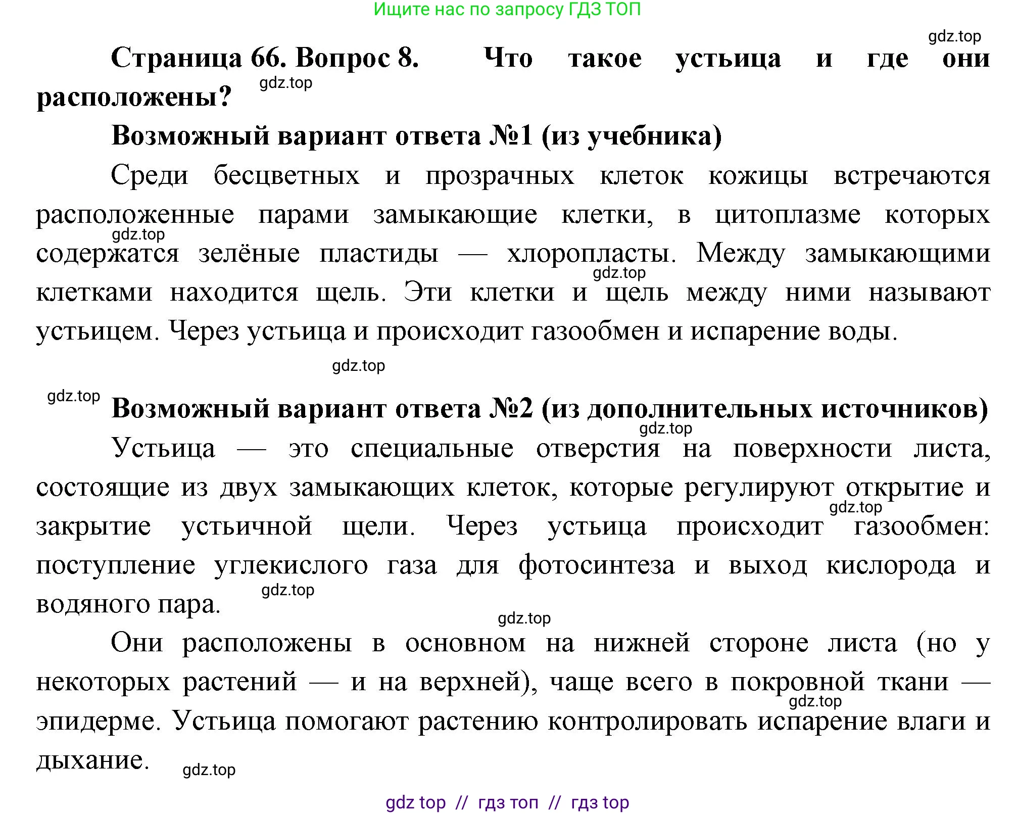Биология, 6 класс Учебник, авторы: Пасечник Владимир Васильевич, Суматохин Сергей Витальевич, Гапонюк Зоя Георгиевна, Швецов Глеб Геннадьевич, издательство Просвещение, Москва, 2023, белого цвета, страница 66, номер 8, Решение 3
