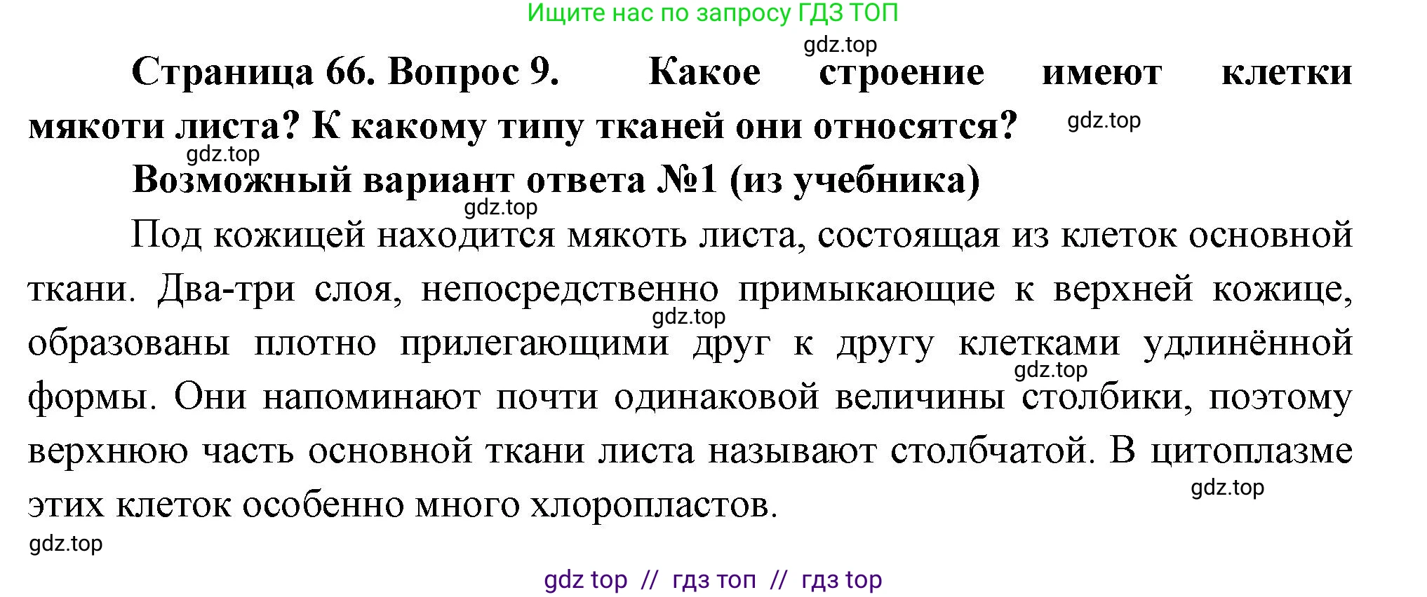 Биология, 6 класс Учебник, авторы: Пасечник Владимир Васильевич, Суматохин Сергей Витальевич, Гапонюк Зоя Георгиевна, Швецов Глеб Геннадьевич, издательство Просвещение, Москва, 2023, белого цвета, страница 66, номер 9, Решение 3