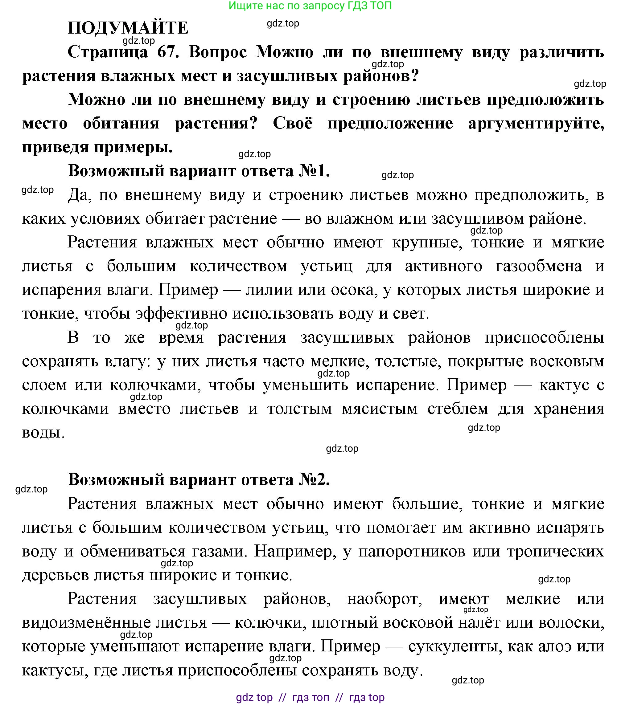 Биология, 6 класс Учебник, авторы: Пасечник Владимир Васильевич, Суматохин Сергей Витальевич, Гапонюк Зоя Георгиевна, Швецов Глеб Геннадьевич, издательство Просвещение, Москва, 2023, белого цвета, страница 67, Решение 3