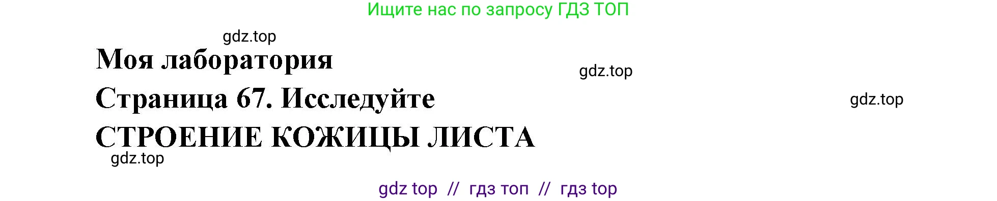 Биология, 6 класс Учебник, авторы: Пасечник Владимир Васильевич, Суматохин Сергей Витальевич, Гапонюк Зоя Георгиевна, Швецов Глеб Геннадьевич, издательство Просвещение, Москва, 2023, белого цвета, страница 67, Решение 3