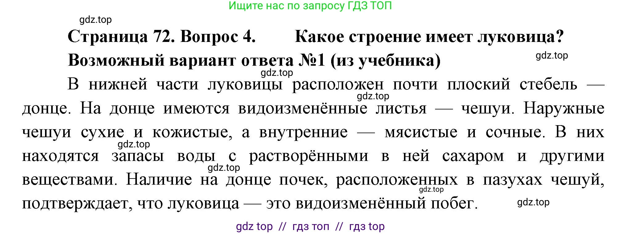 Биология, 6 класс Учебник, авторы: Пасечник Владимир Васильевич, Суматохин Сергей Витальевич, Гапонюк Зоя Георгиевна, Швецов Глеб Геннадьевич, издательство Просвещение, Москва, 2023, белого цвета, страница 72, номер 4, Решение 3