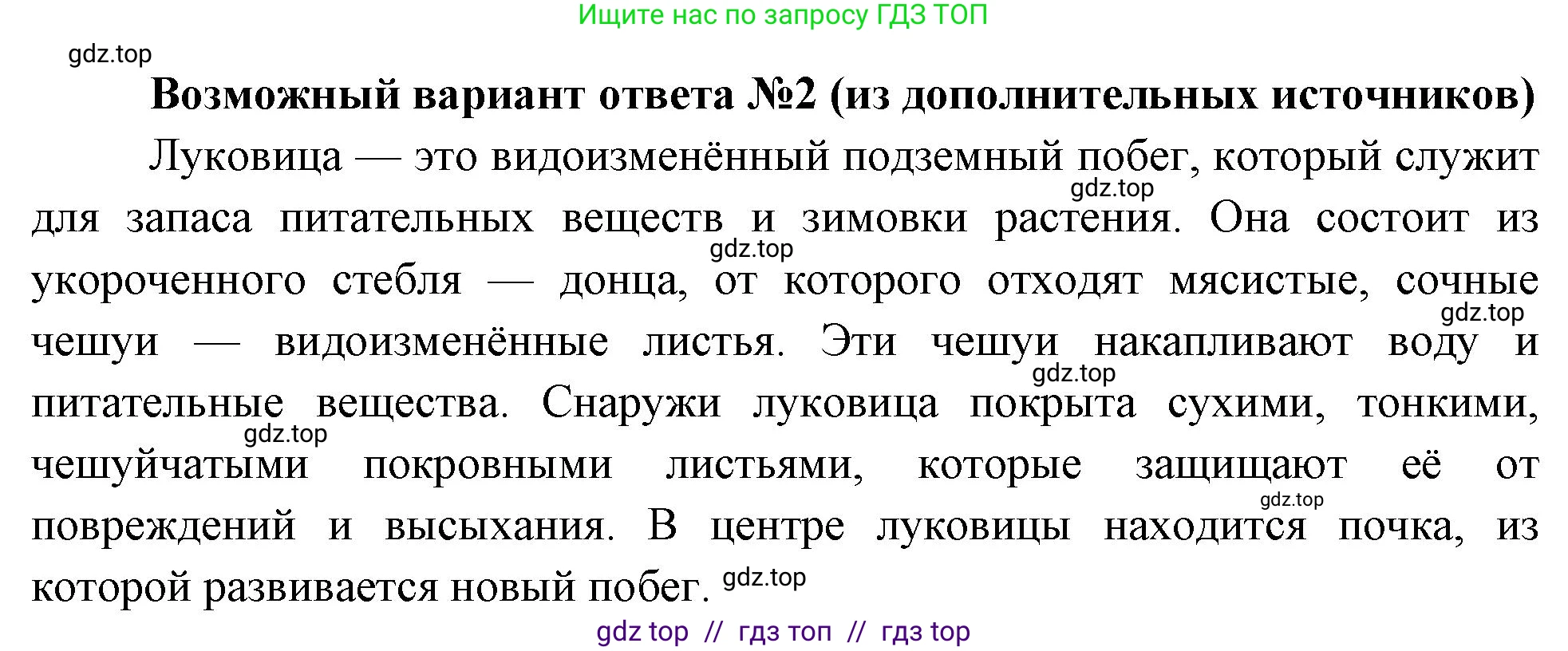 Биология, 6 класс Учебник, авторы: Пасечник Владимир Васильевич, Суматохин Сергей Витальевич, Гапонюк Зоя Георгиевна, Швецов Глеб Геннадьевич, издательство Просвещение, Москва, 2023, белого цвета, страница 72, номер 4, Решение 3 (продолжение 2)