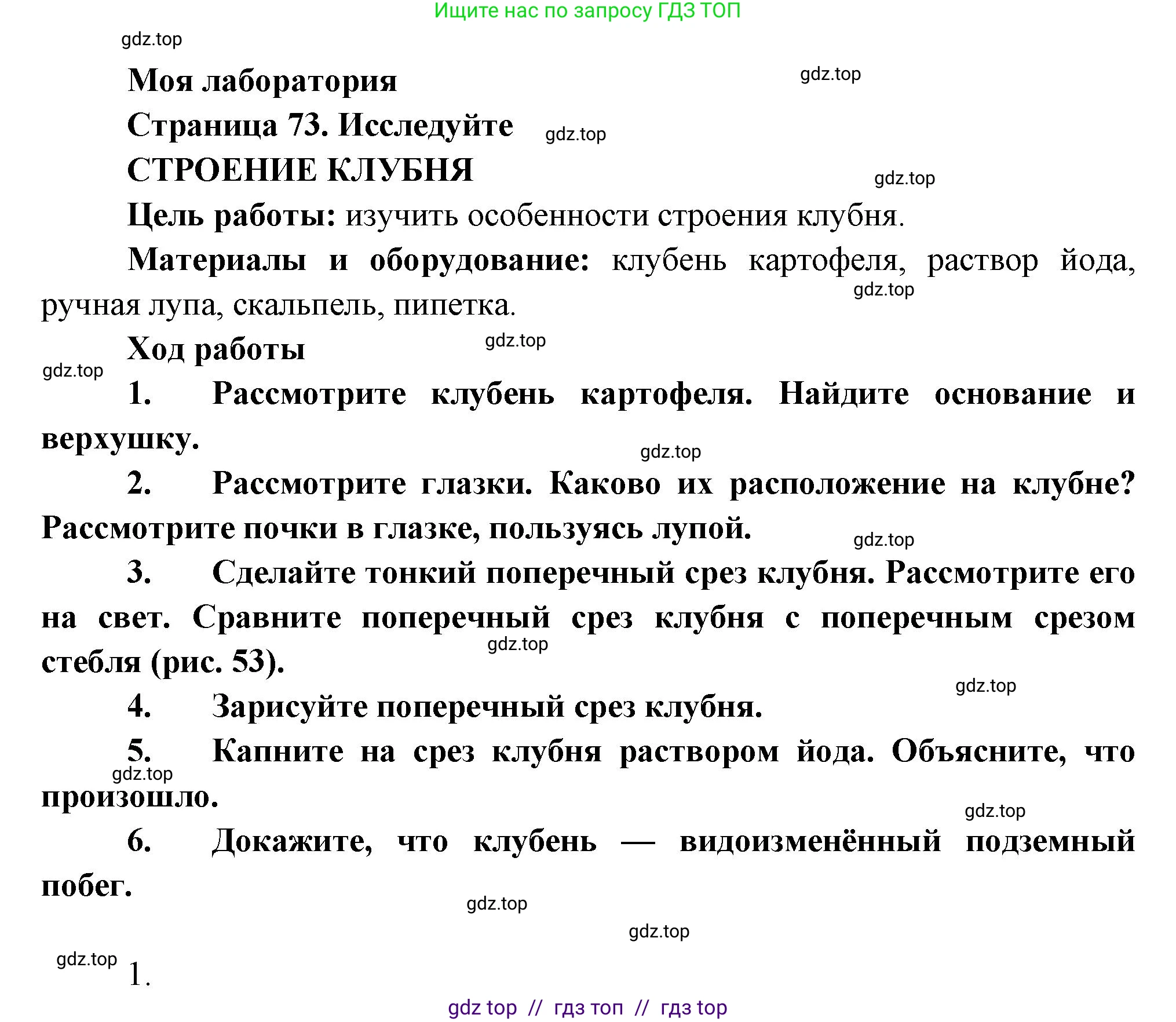 Биология, 6 класс Учебник, авторы: Пасечник Владимир Васильевич, Суматохин Сергей Витальевич, Гапонюк Зоя Георгиевна, Швецов Глеб Геннадьевич, издательство Просвещение, Москва, 2023, белого цвета, страница 73, Решение 3