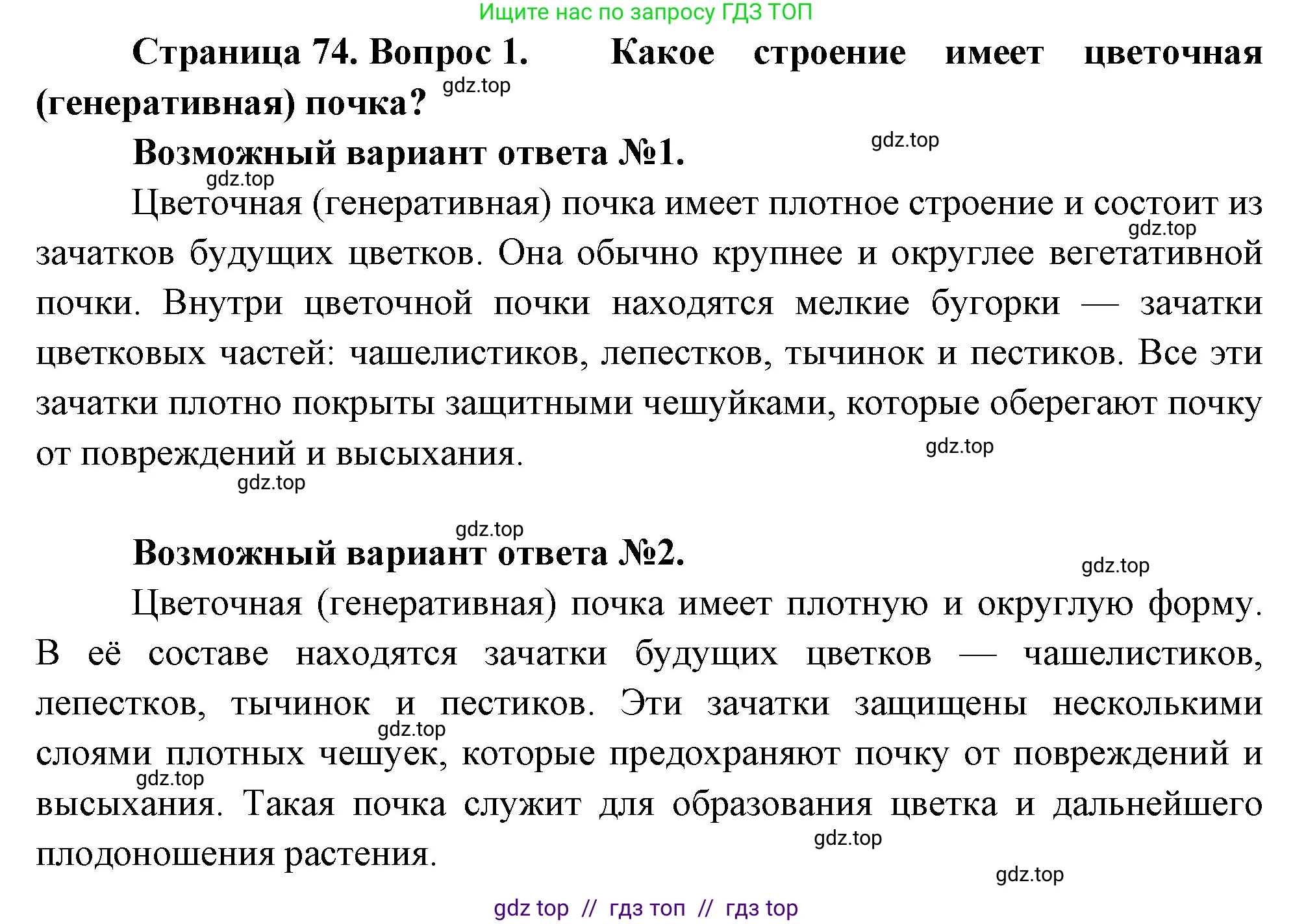 Биология, 6 класс Учебник, авторы: Пасечник Владимир Васильевич, Суматохин Сергей Витальевич, Гапонюк Зоя Георгиевна, Швецов Глеб Геннадьевич, издательство Просвещение, Москва, 2023, белого цвета, страница 74, номер 1, Решение 3