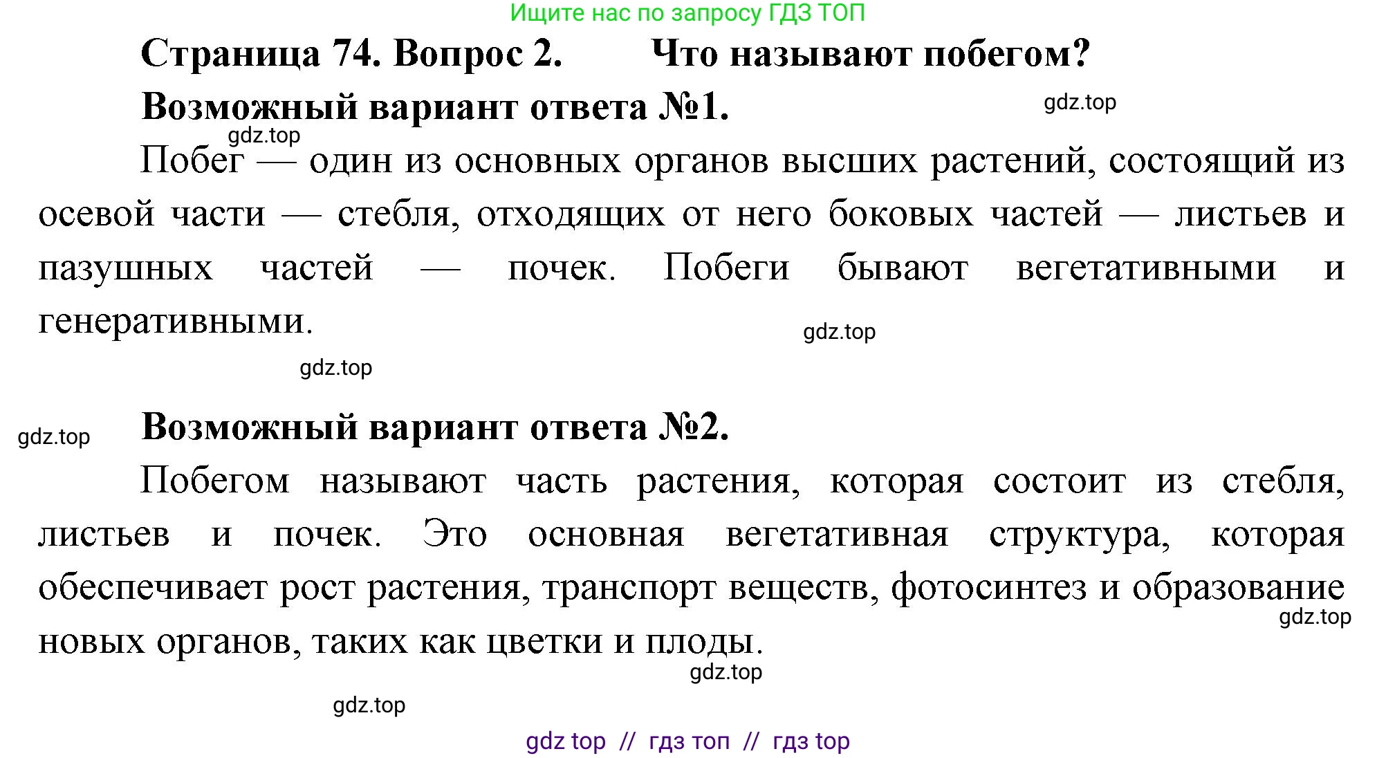 Биология, 6 класс Учебник, авторы: Пасечник Владимир Васильевич, Суматохин Сергей Витальевич, Гапонюк Зоя Георгиевна, Швецов Глеб Геннадьевич, издательство Просвещение, Москва, 2023, белого цвета, страница 74, номер 2, Решение 3