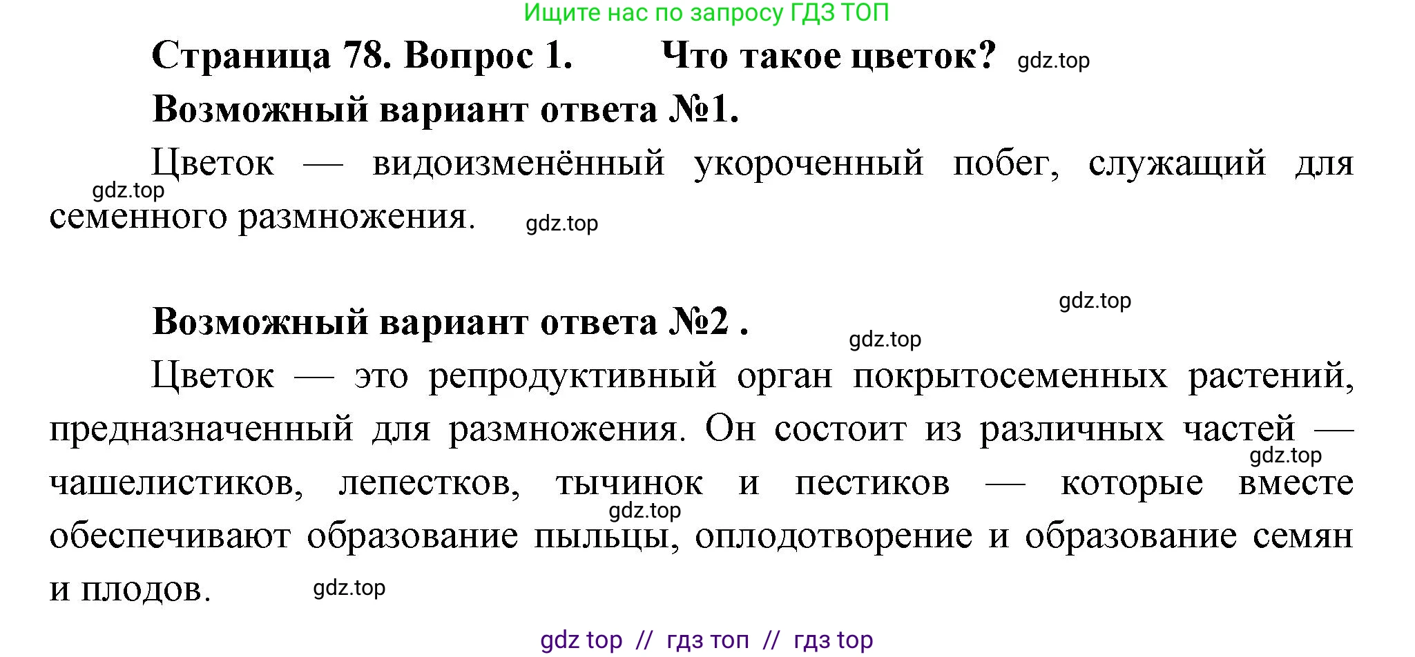 Биология, 6 класс Учебник, авторы: Пасечник Владимир Васильевич, Суматохин Сергей Витальевич, Гапонюк Зоя Георгиевна, Швецов Глеб Геннадьевич, издательство Просвещение, Москва, 2023, белого цвета, страница 78, номер 1, Решение 3