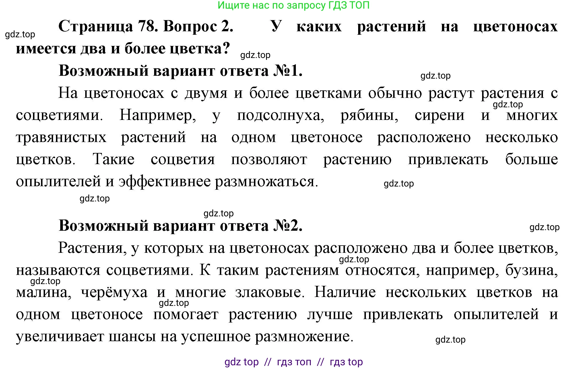 Биология, 6 класс Учебник, авторы: Пасечник Владимир Васильевич, Суматохин Сергей Витальевич, Гапонюк Зоя Георгиевна, Швецов Глеб Геннадьевич, издательство Просвещение, Москва, 2023, белого цвета, страница 78, номер 2, Решение 3