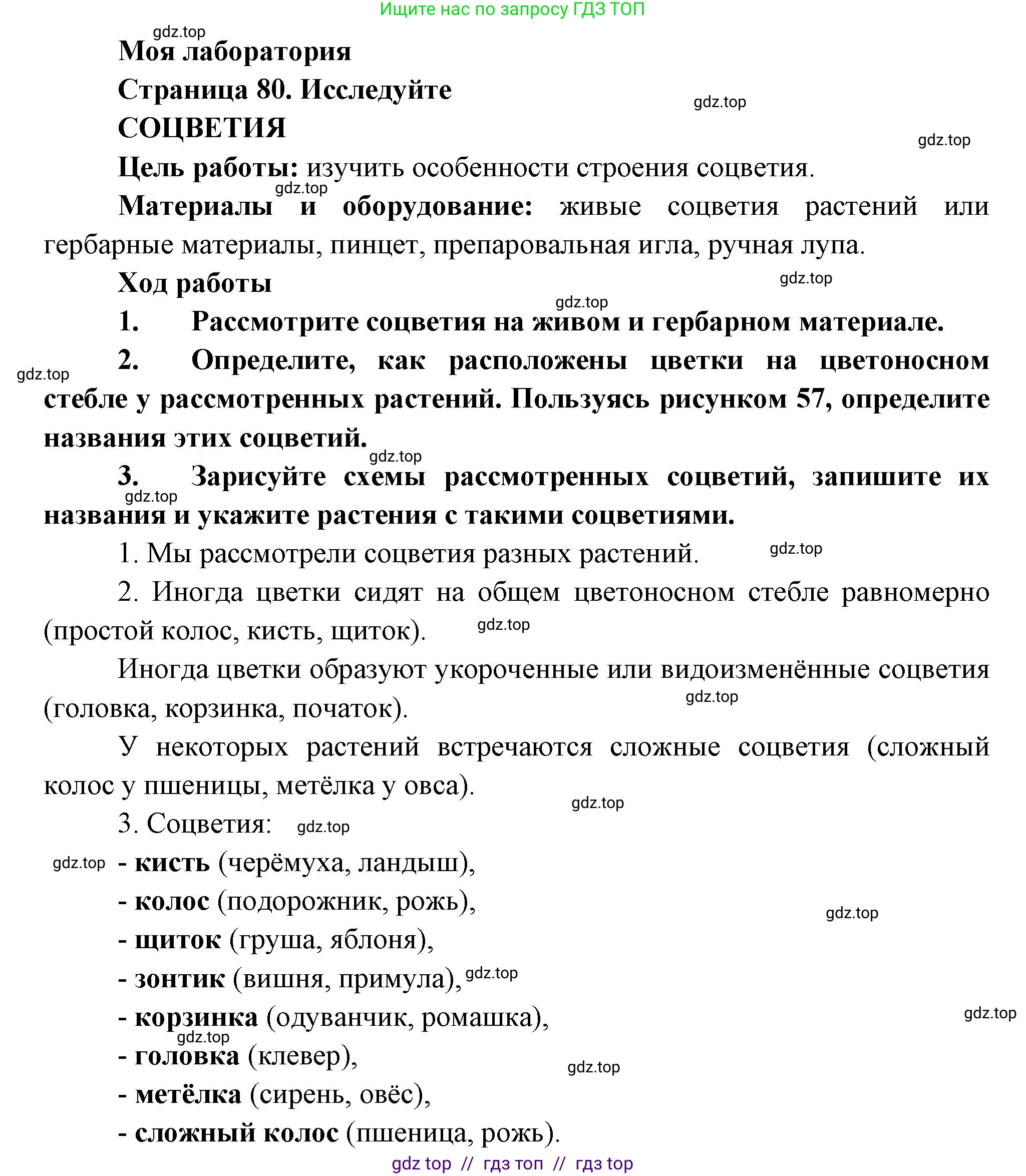 Биология, 6 класс Учебник, авторы: Пасечник Владимир Васильевич, Суматохин Сергей Витальевич, Гапонюк Зоя Георгиевна, Швецов Глеб Геннадьевич, издательство Просвещение, Москва, 2023, белого цвета, страница 80, Решение 3