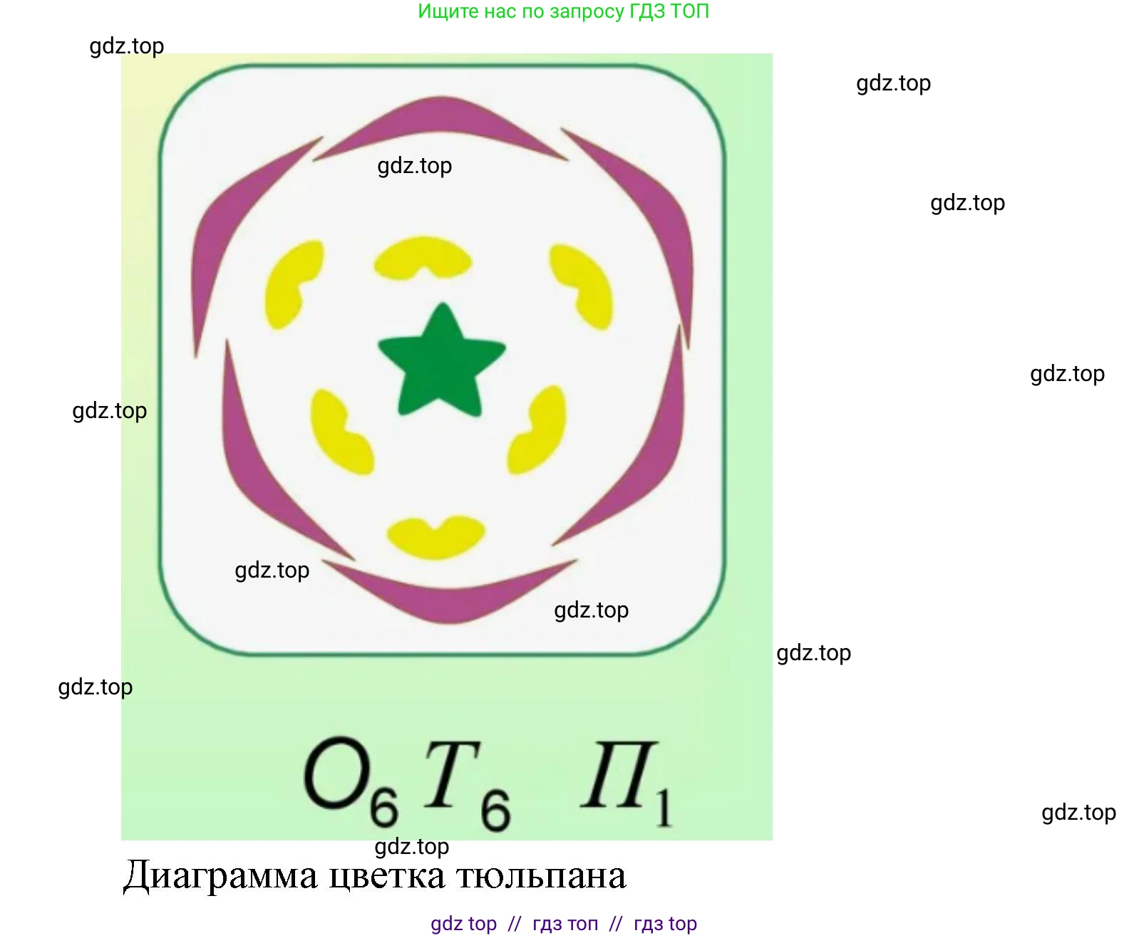 Биология, 6 класс Учебник, авторы: Пасечник Владимир Васильевич, Суматохин Сергей Витальевич, Гапонюк Зоя Георгиевна, Швецов Глеб Геннадьевич, издательство Просвещение, Москва, 2023, белого цвета, страница 80, Решение 3 (продолжение 3)