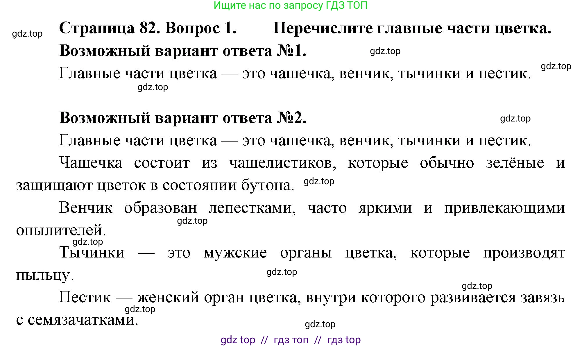 Биология, 6 класс Учебник, авторы: Пасечник Владимир Васильевич, Суматохин Сергей Витальевич, Гапонюк Зоя Георгиевна, Швецов Глеб Геннадьевич, издательство Просвещение, Москва, 2023, белого цвета, страница 82, номер 1, Решение 3
