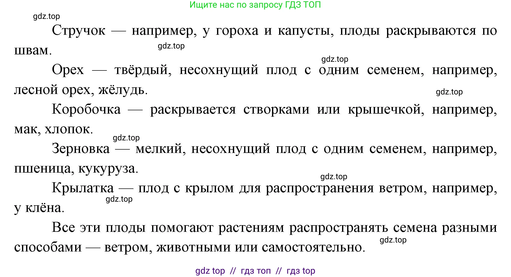 Биология, 6 класс Учебник, авторы: Пасечник Владимир Васильевич, Суматохин Сергей Витальевич, Гапонюк Зоя Георгиевна, Швецов Глеб Геннадьевич, издательство Просвещение, Москва, 2023, белого цвета, страница 87, номер 5, Решение 3 (продолжение 2)