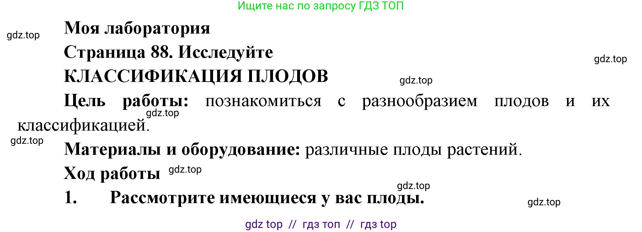 Биология, 6 класс Учебник, авторы: Пасечник Владимир Васильевич, Суматохин Сергей Витальевич, Гапонюк Зоя Георгиевна, Швецов Глеб Геннадьевич, издательство Просвещение, Москва, 2023, белого цвета, страница 88, Решение 3