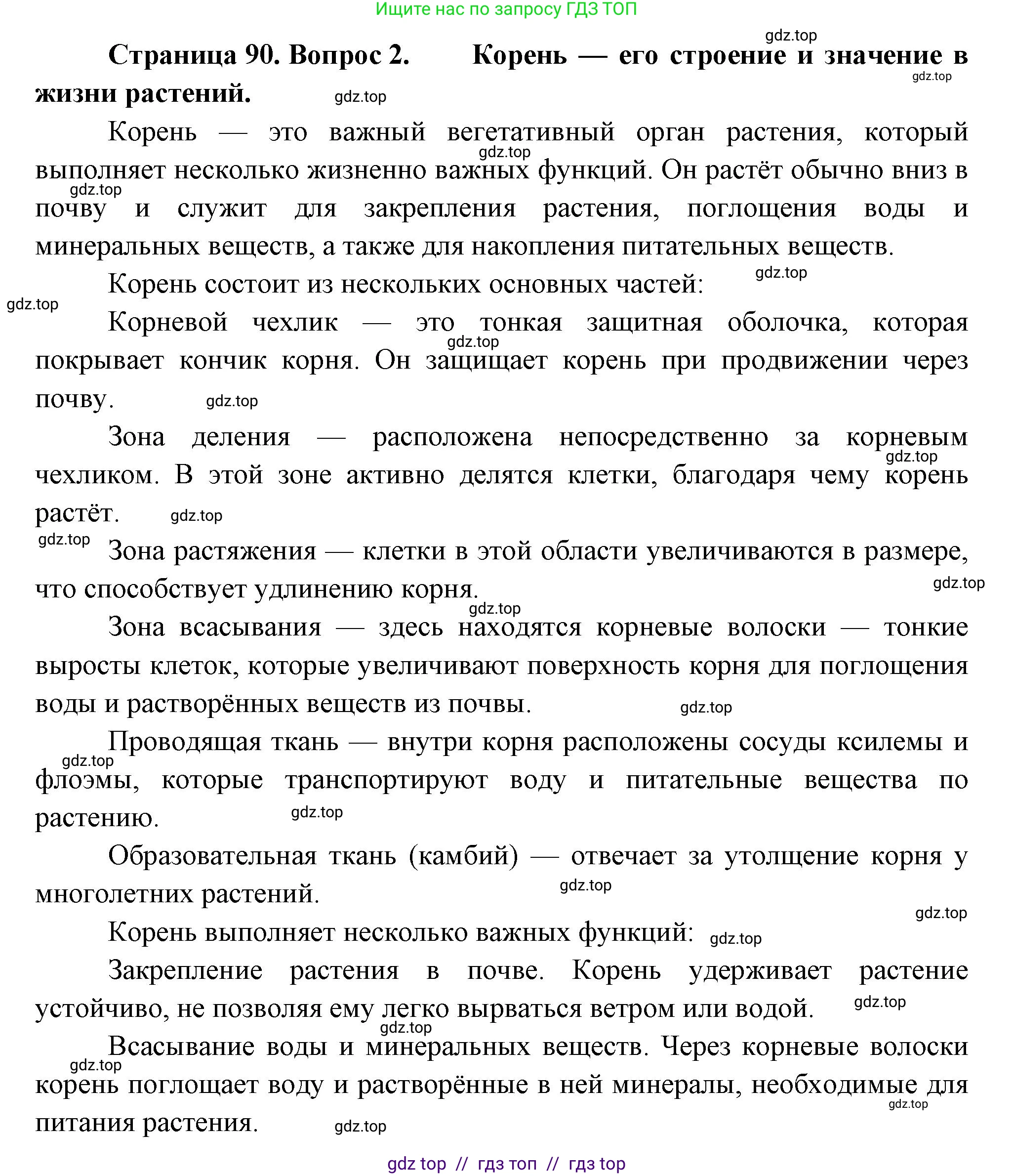 Биология, 6 класс Учебник, авторы: Пасечник Владимир Васильевич, Суматохин Сергей Витальевич, Гапонюк Зоя Георгиевна, Швецов Глеб Геннадьевич, издательство Просвещение, Москва, 2023, белого цвета, страница 90, номер 2, Решение 3