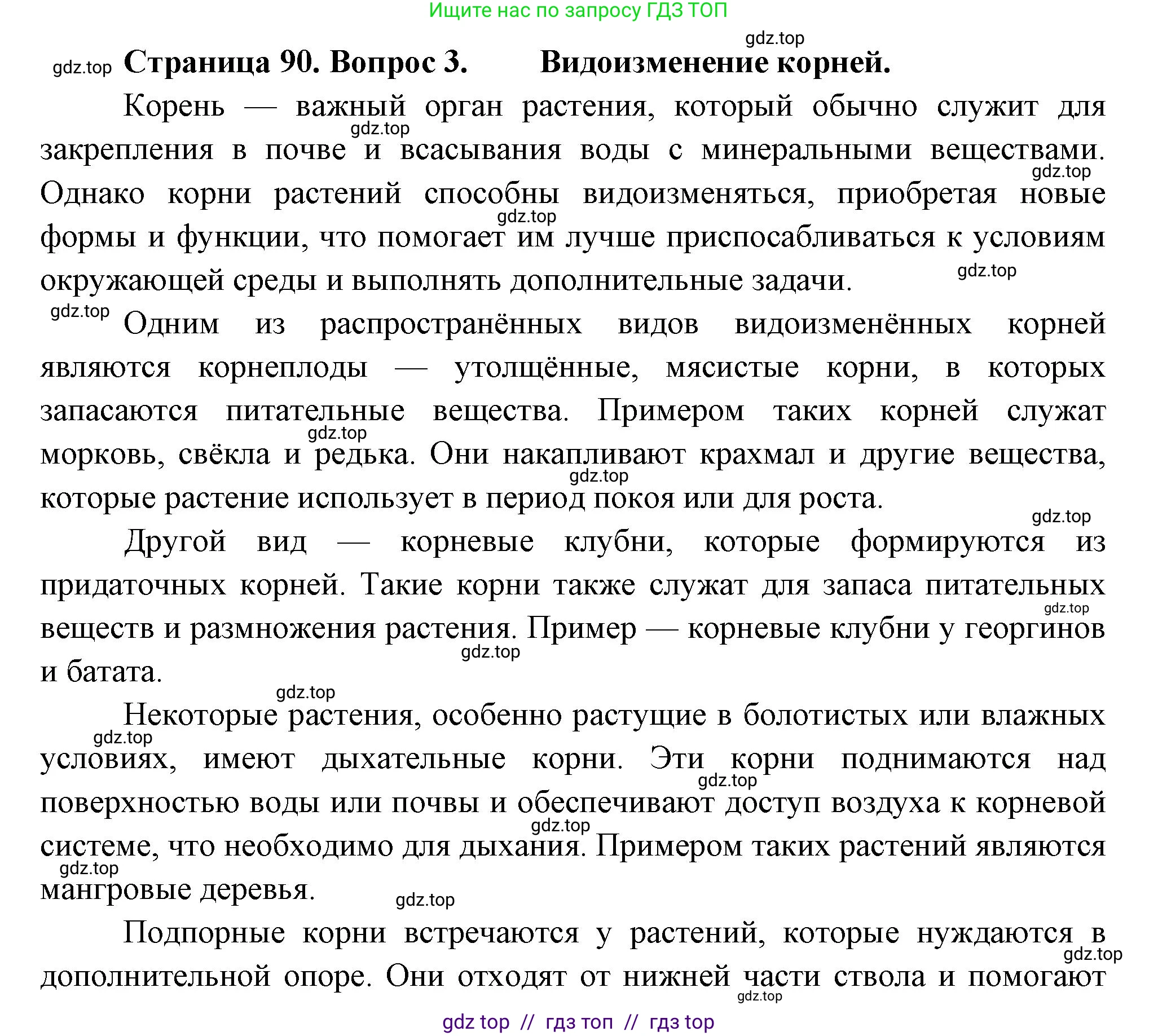 Биология, 6 класс Учебник, авторы: Пасечник Владимир Васильевич, Суматохин Сергей Витальевич, Гапонюк Зоя Георгиевна, Швецов Глеб Геннадьевич, издательство Просвещение, Москва, 2023, белого цвета, страница 90, номер 3, Решение 3