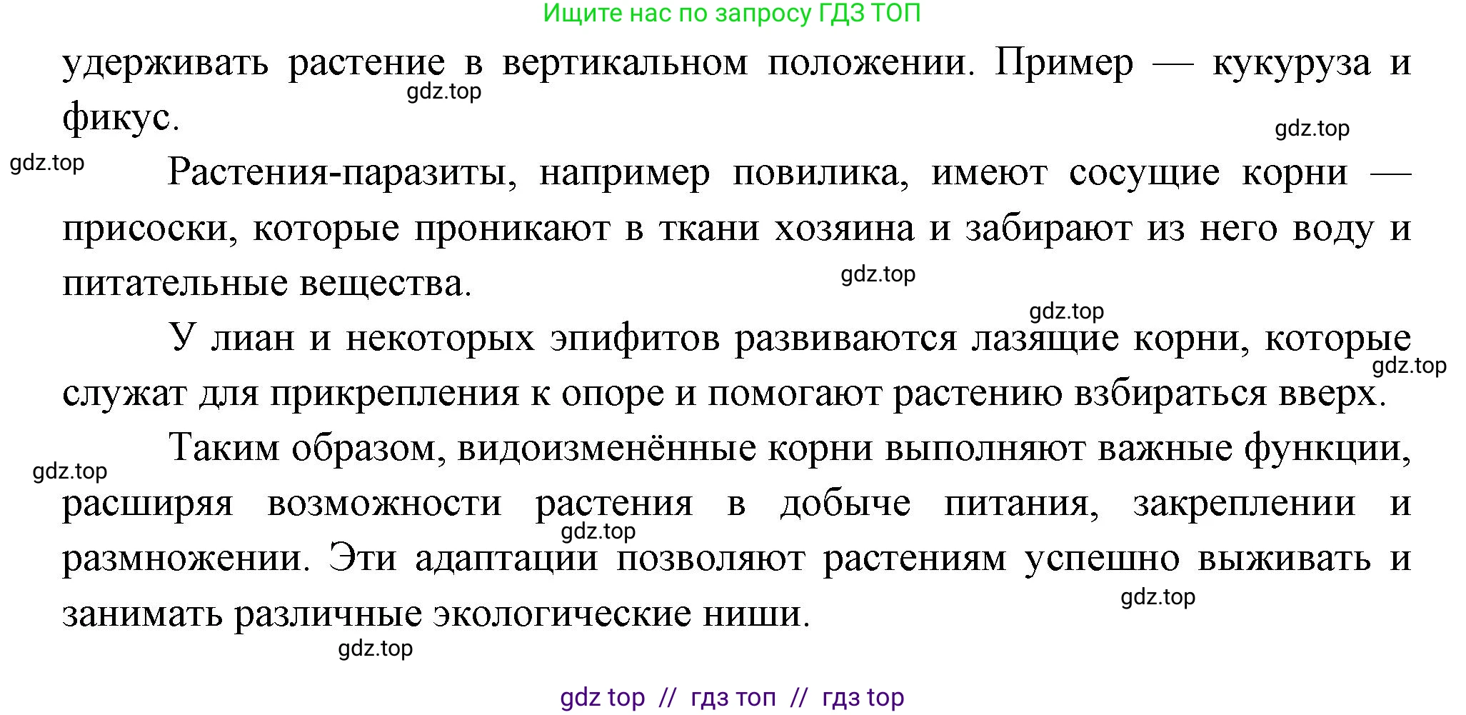 Биология, 6 класс Учебник, авторы: Пасечник Владимир Васильевич, Суматохин Сергей Витальевич, Гапонюк Зоя Георгиевна, Швецов Глеб Геннадьевич, издательство Просвещение, Москва, 2023, белого цвета, страница 90, номер 3, Решение 3 (продолжение 2)