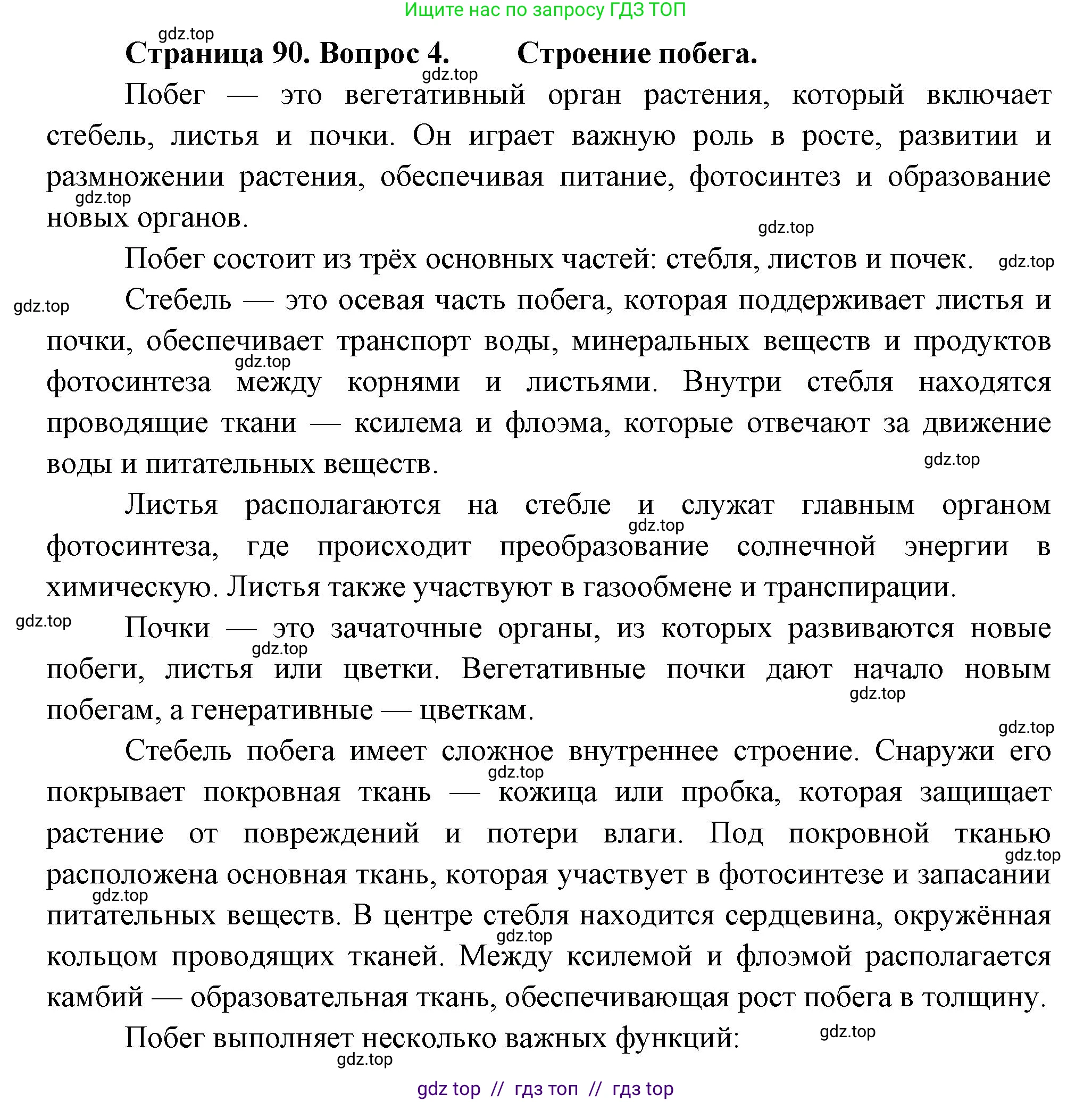 Биология, 6 класс Учебник, авторы: Пасечник Владимир Васильевич, Суматохин Сергей Витальевич, Гапонюк Зоя Георгиевна, Швецов Глеб Геннадьевич, издательство Просвещение, Москва, 2023, белого цвета, страница 90, номер 4, Решение 3
