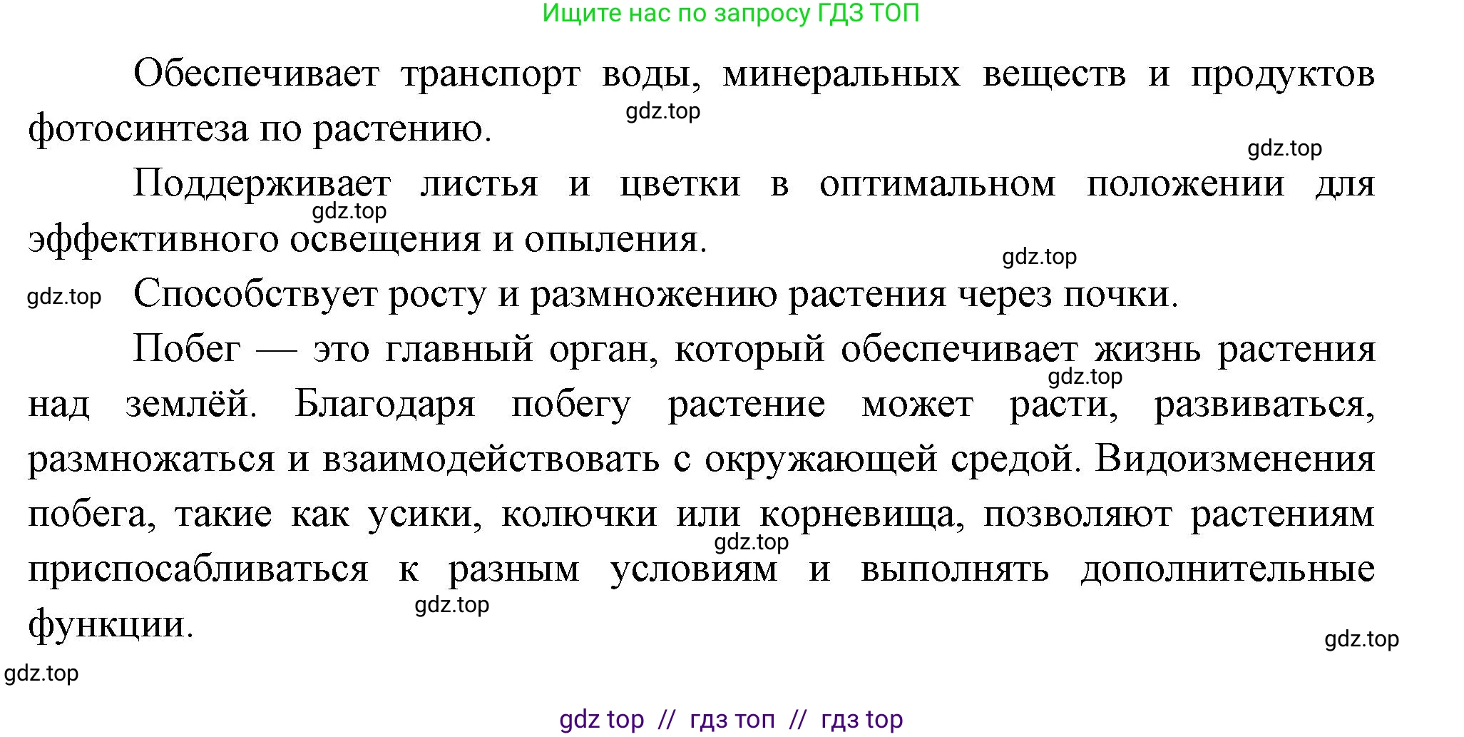 Биология, 6 класс Учебник, авторы: Пасечник Владимир Васильевич, Суматохин Сергей Витальевич, Гапонюк Зоя Георгиевна, Швецов Глеб Геннадьевич, издательство Просвещение, Москва, 2023, белого цвета, страница 90, номер 4, Решение 3 (продолжение 2)