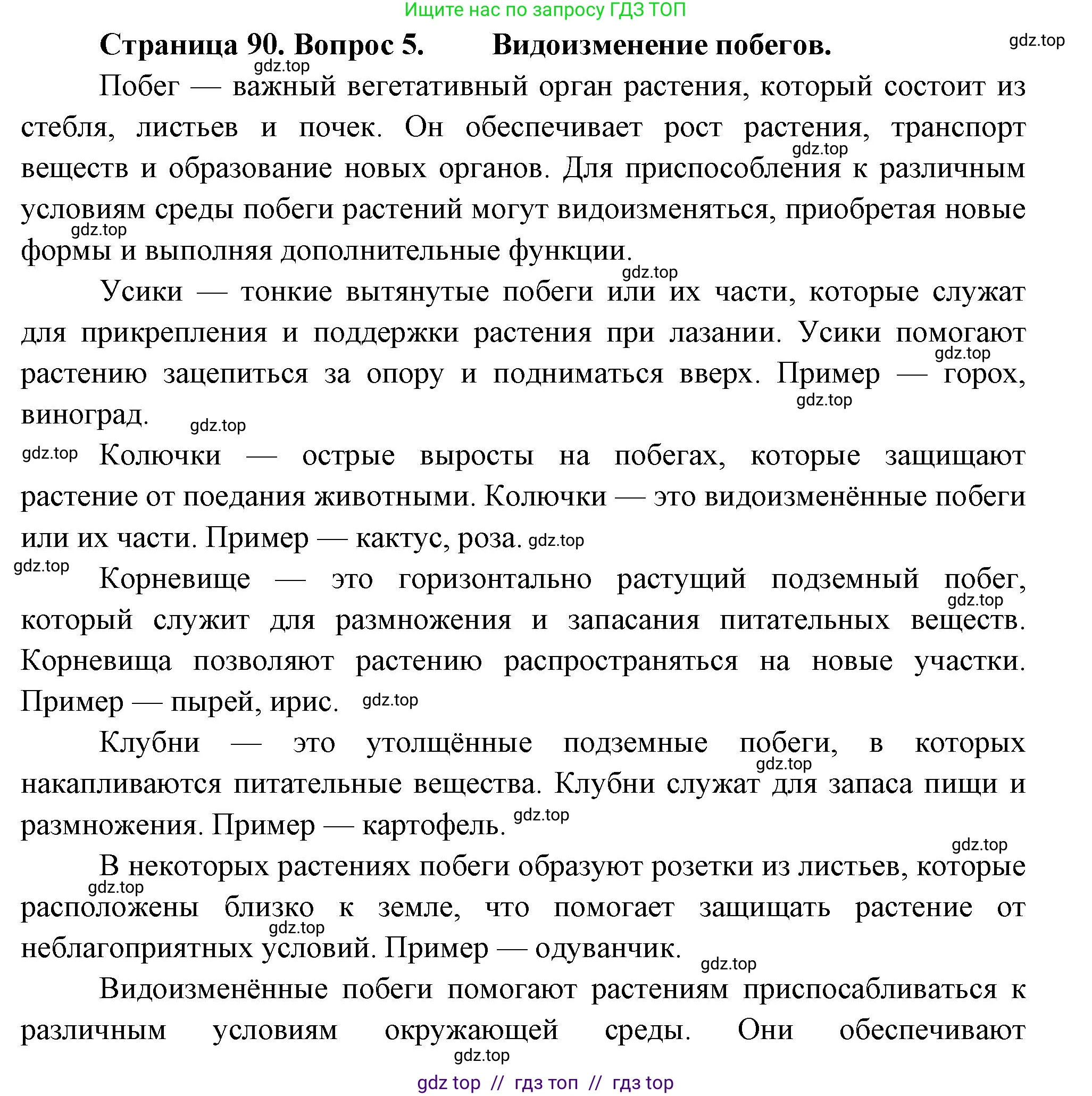Биология, 6 класс Учебник, авторы: Пасечник Владимир Васильевич, Суматохин Сергей Витальевич, Гапонюк Зоя Георгиевна, Швецов Глеб Геннадьевич, издательство Просвещение, Москва, 2023, белого цвета, страница 90, номер 5, Решение 3