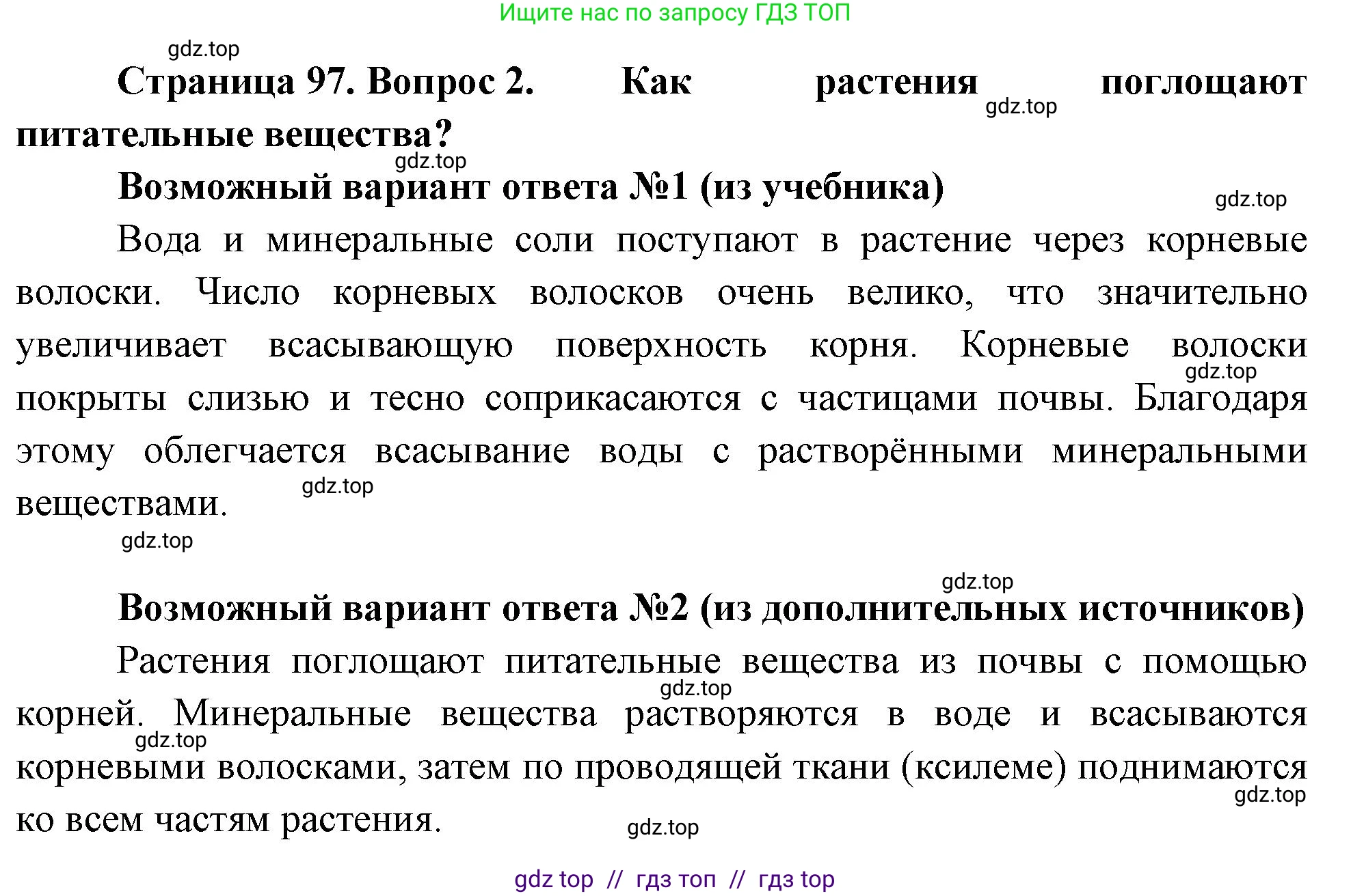 Биология, 6 класс Учебник, авторы: Пасечник Владимир Васильевич, Суматохин Сергей Витальевич, Гапонюк Зоя Георгиевна, Швецов Глеб Геннадьевич, издательство Просвещение, Москва, 2023, белого цвета, страница 97, номер 2, Решение 3