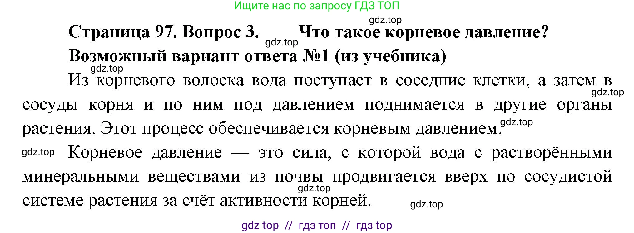 Биология, 6 класс Учебник, авторы: Пасечник Владимир Васильевич, Суматохин Сергей Витальевич, Гапонюк Зоя Георгиевна, Швецов Глеб Геннадьевич, издательство Просвещение, Москва, 2023, белого цвета, страница 97, номер 3, Решение 3