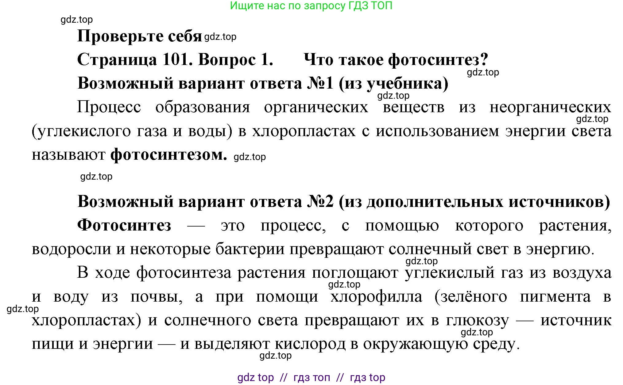 Биология, 6 класс Учебник, авторы: Пасечник Владимир Васильевич, Суматохин Сергей Витальевич, Гапонюк Зоя Георгиевна, Швецов Глеб Геннадьевич, издательство Просвещение, Москва, 2023, белого цвета, страница 101, номер 1, Решение 3