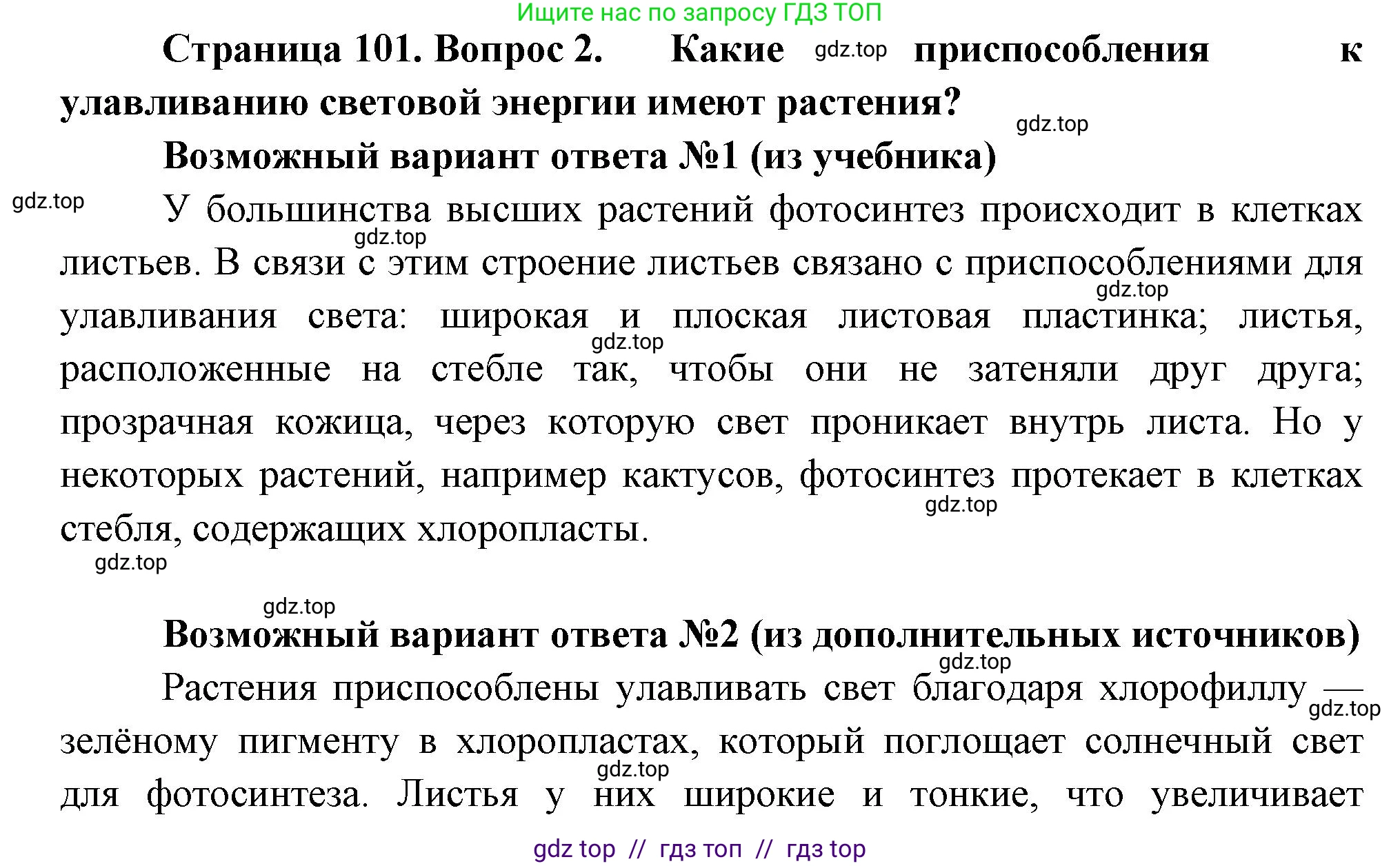 Биология, 6 класс Учебник, авторы: Пасечник Владимир Васильевич, Суматохин Сергей Витальевич, Гапонюк Зоя Георгиевна, Швецов Глеб Геннадьевич, издательство Просвещение, Москва, 2023, белого цвета, страница 101, номер 2, Решение 3