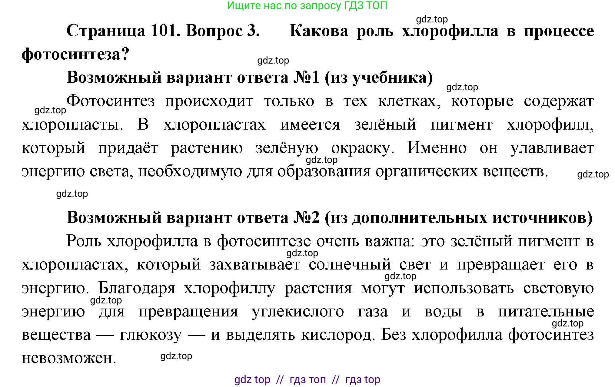 Биология, 6 класс Учебник, авторы: Пасечник Владимир Васильевич, Суматохин Сергей Витальевич, Гапонюк Зоя Георгиевна, Швецов Глеб Геннадьевич, издательство Просвещение, Москва, 2023, белого цвета, страница 101, номер 3, Решение 3