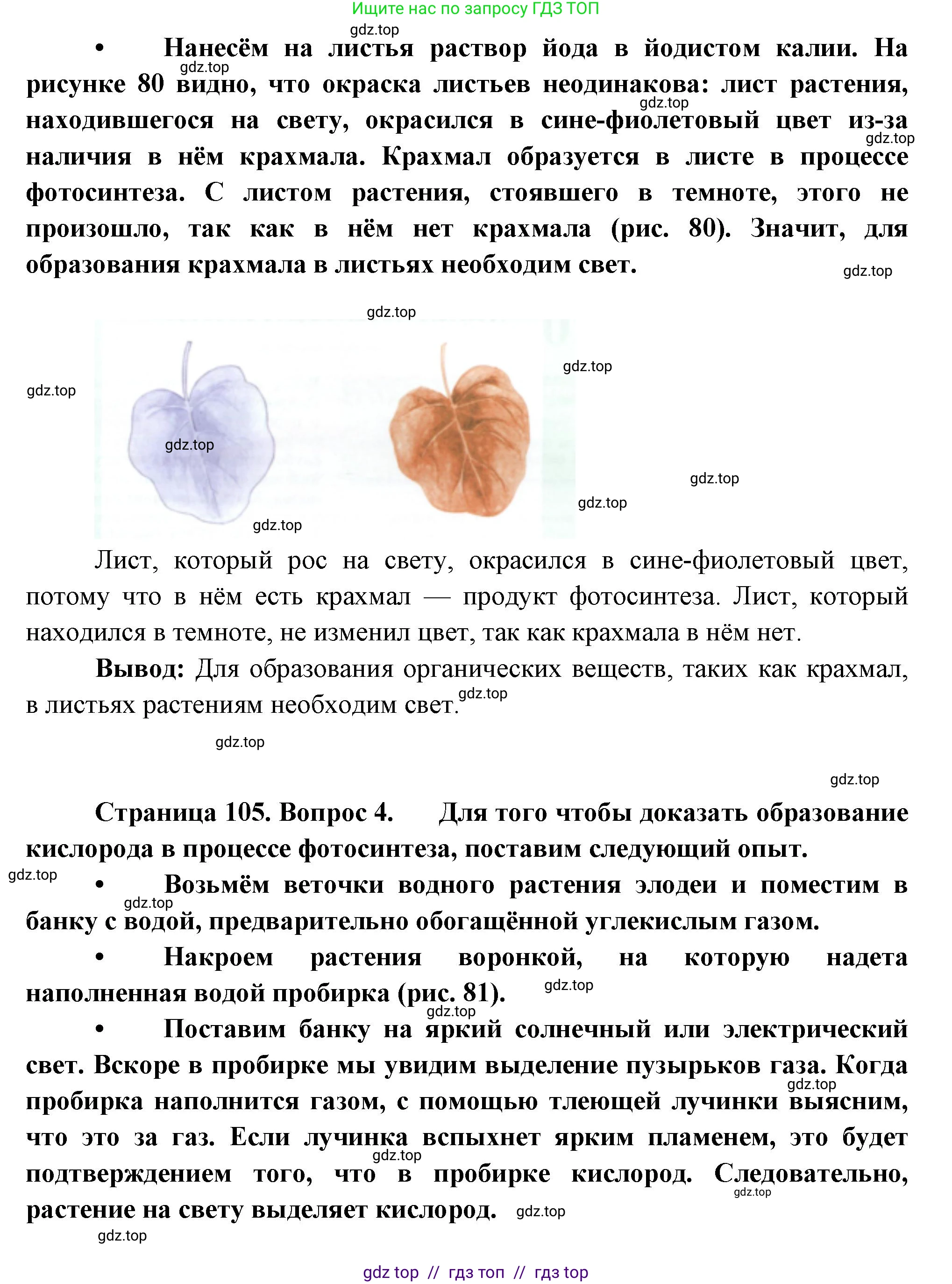 Биология, 6 класс Учебник, авторы: Пасечник Владимир Васильевич, Суматохин Сергей Витальевич, Гапонюк Зоя Георгиевна, Швецов Глеб Геннадьевич, издательство Просвещение, Москва, 2023, белого цвета, страница 102, Решение 3 (продолжение 3)