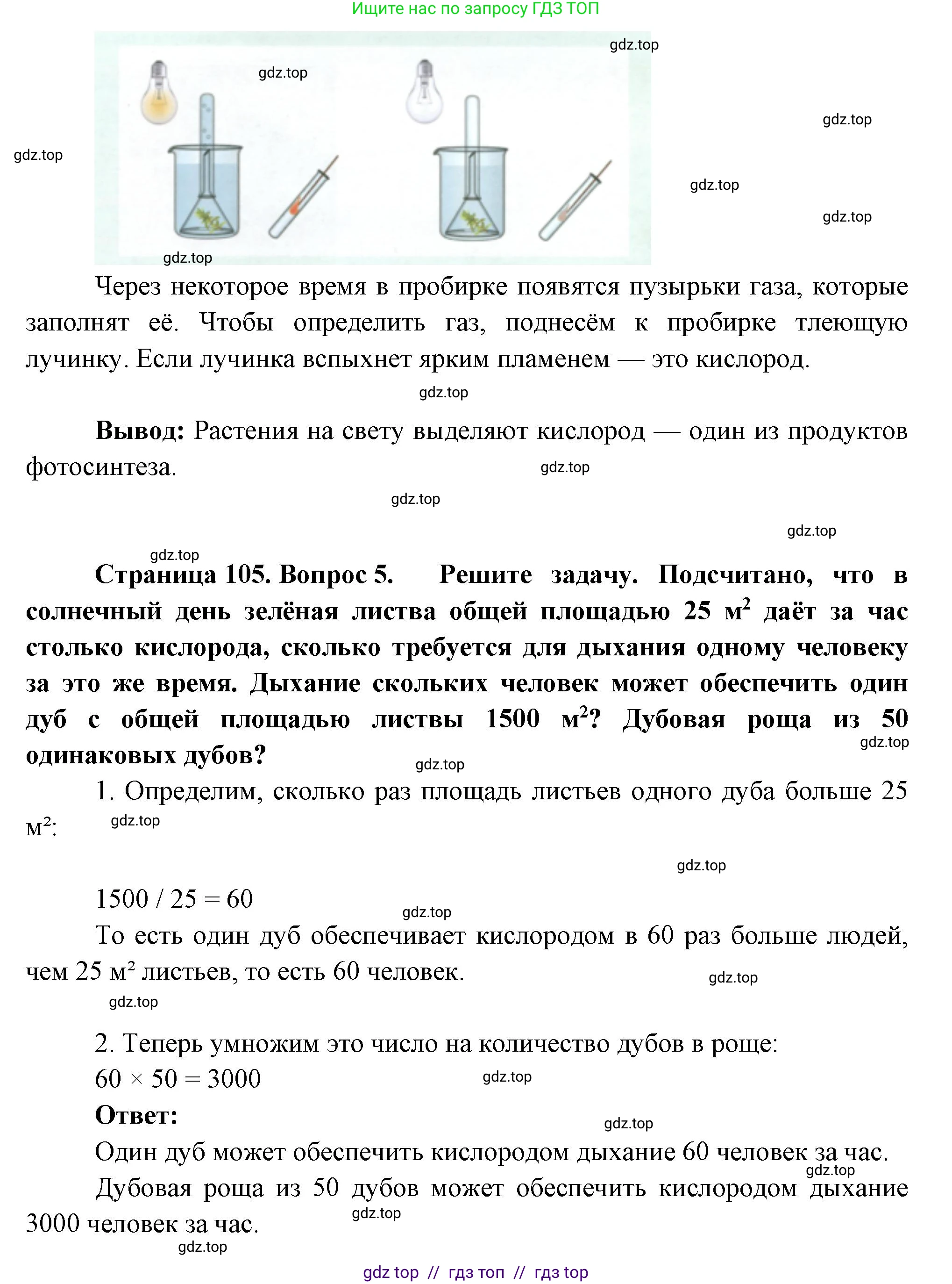 Биология, 6 класс Учебник, авторы: Пасечник Владимир Васильевич, Суматохин Сергей Витальевич, Гапонюк Зоя Георгиевна, Швецов Глеб Геннадьевич, издательство Просвещение, Москва, 2023, белого цвета, страница 102, Решение 3 (продолжение 4)