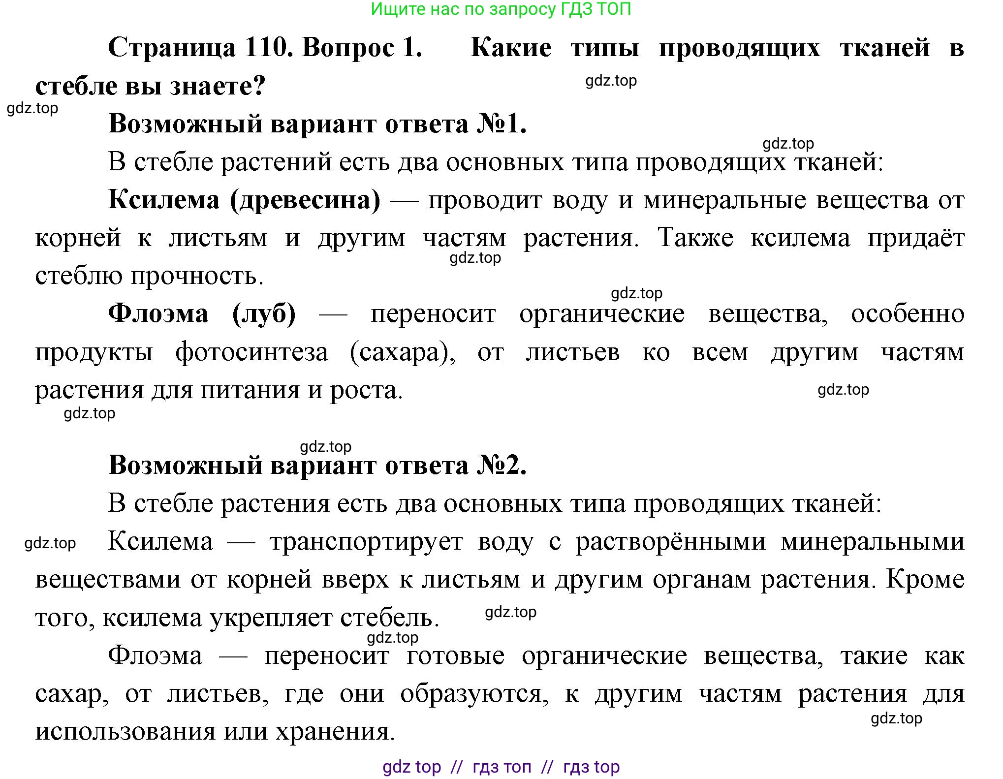 Биология, 6 класс Учебник, авторы: Пасечник Владимир Васильевич, Суматохин Сергей Витальевич, Гапонюк Зоя Георгиевна, Швецов Глеб Геннадьевич, издательство Просвещение, Москва, 2023, белого цвета, страница 110, номер 1, Решение 3