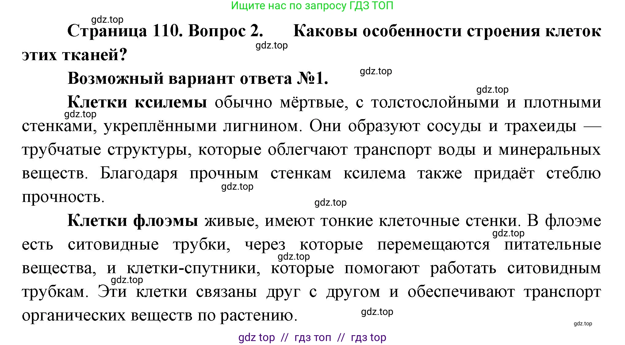 Биология, 6 класс Учебник, авторы: Пасечник Владимир Васильевич, Суматохин Сергей Витальевич, Гапонюк Зоя Георгиевна, Швецов Глеб Геннадьевич, издательство Просвещение, Москва, 2023, белого цвета, страница 110, номер 2, Решение 3