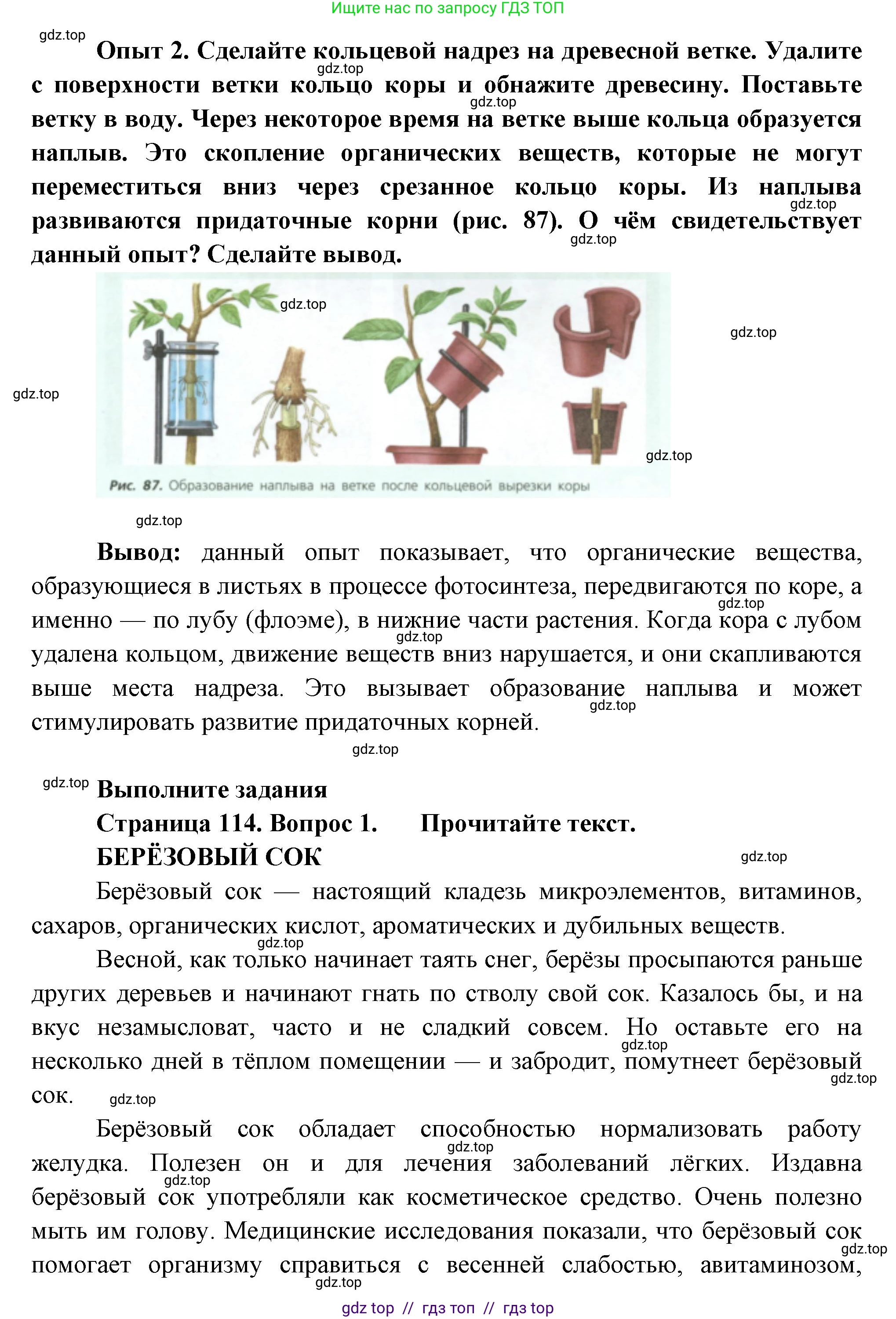 Биология, 6 класс Учебник, авторы: Пасечник Владимир Васильевич, Суматохин Сергей Витальевич, Гапонюк Зоя Георгиевна, Швецов Глеб Геннадьевич, издательство Просвещение, Москва, 2023, белого цвета, страница 113, Решение 3 (продолжение 2)