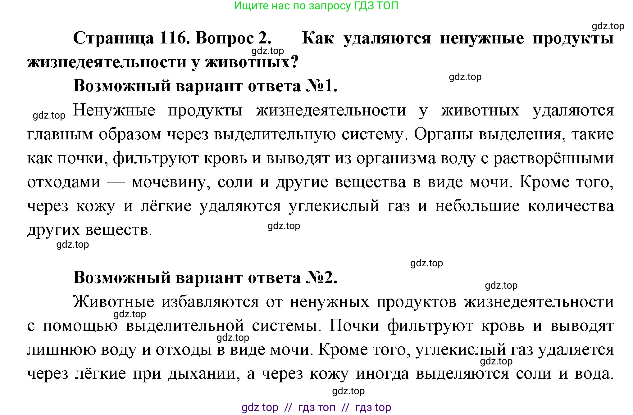 Биология, 6 класс Учебник, авторы: Пасечник Владимир Васильевич, Суматохин Сергей Витальевич, Гапонюк Зоя Георгиевна, Швецов Глеб Геннадьевич, издательство Просвещение, Москва, 2023, белого цвета, страница 116, номер 2, Решение 3