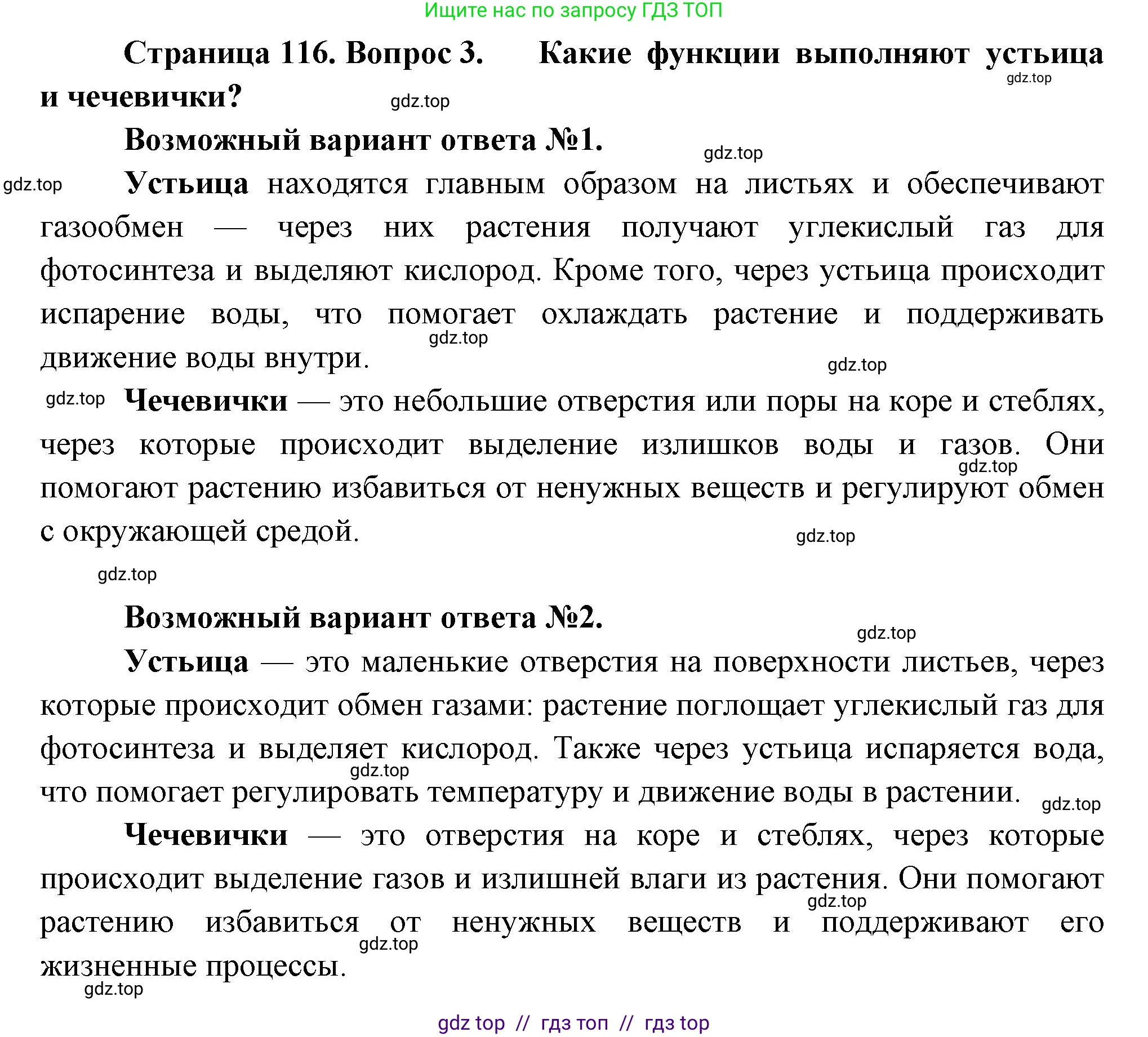 Биология, 6 класс Учебник, авторы: Пасечник Владимир Васильевич, Суматохин Сергей Витальевич, Гапонюк Зоя Георгиевна, Швецов Глеб Геннадьевич, издательство Просвещение, Москва, 2023, белого цвета, страница 116, номер 3, Решение 3