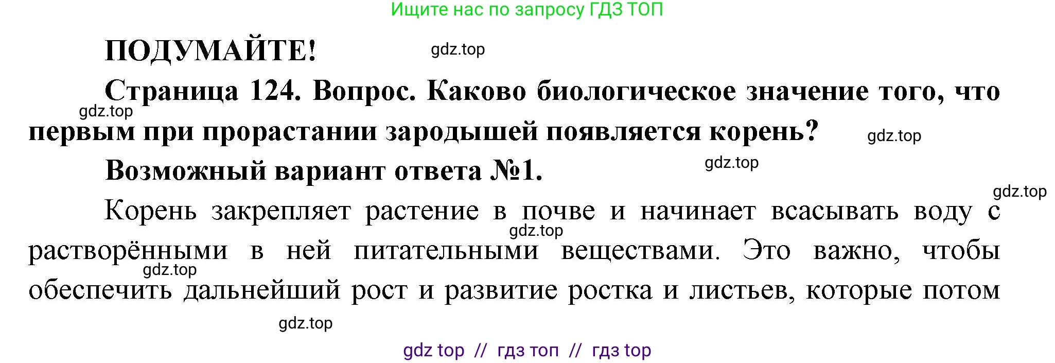 Биология, 6 класс Учебник, авторы: Пасечник Владимир Васильевич, Суматохин Сергей Витальевич, Гапонюк Зоя Георгиевна, Швецов Глеб Геннадьевич, издательство Просвещение, Москва, 2023, белого цвета, страница 124, Решение 3