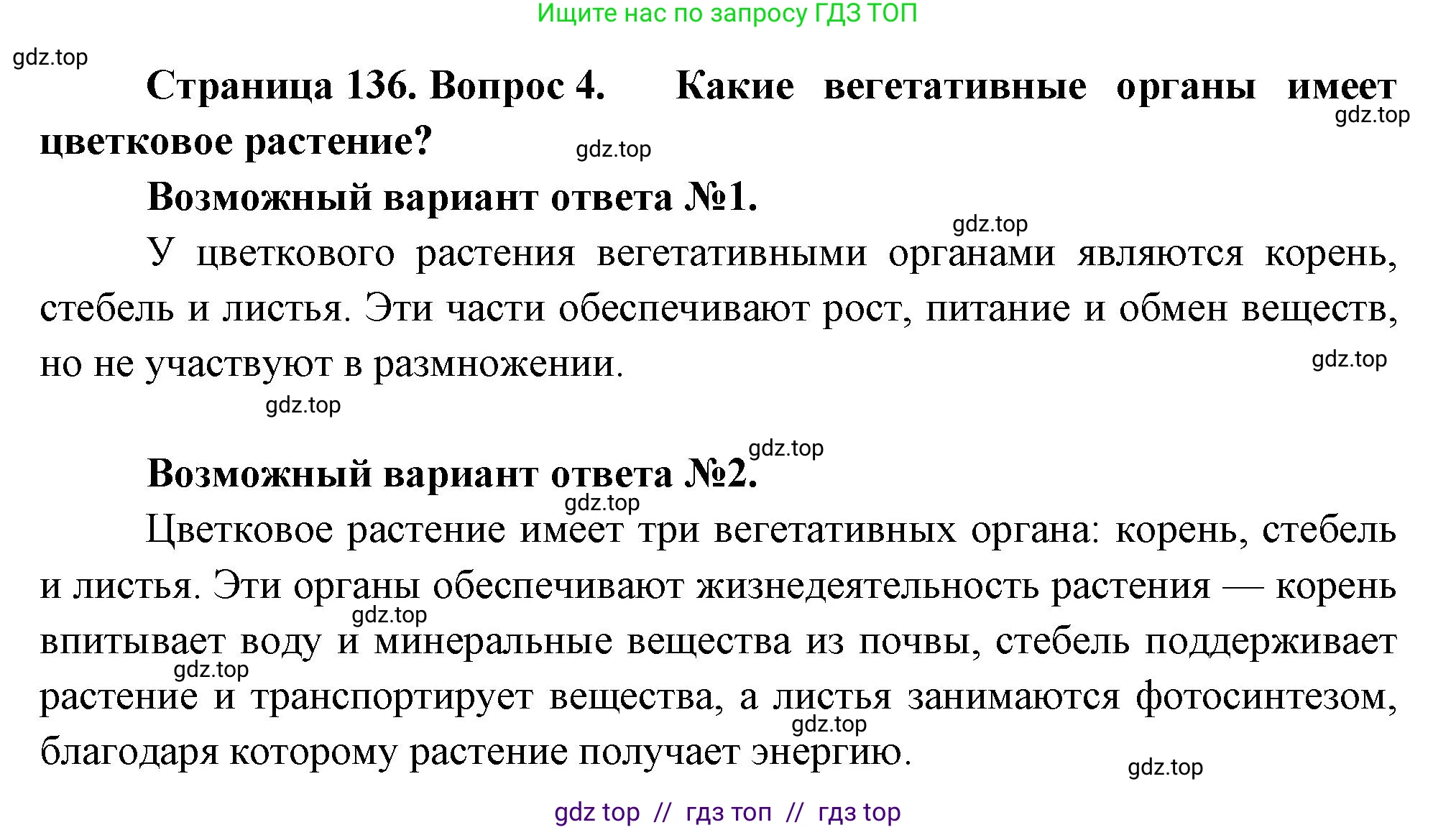 Биология, 6 класс Учебник, авторы: Пасечник Владимир Васильевич, Суматохин Сергей Витальевич, Гапонюк Зоя Георгиевна, Швецов Глеб Геннадьевич, издательство Просвещение, Москва, 2023, белого цвета, страница 136, номер 4, Решение 3