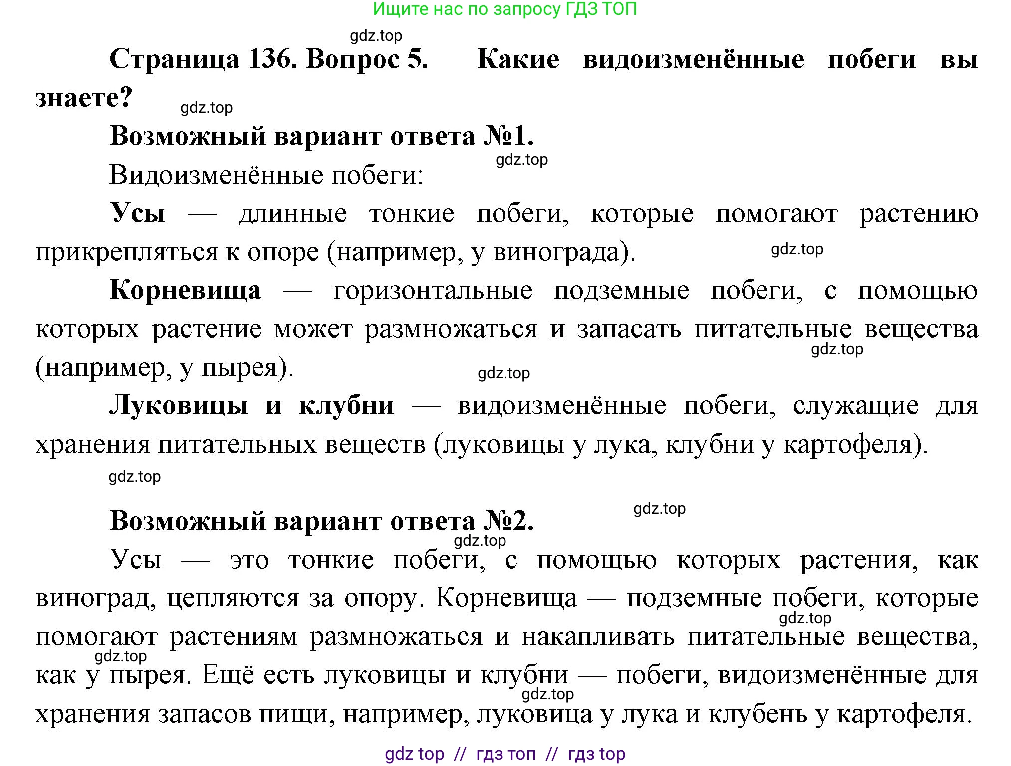 Биология, 6 класс Учебник, авторы: Пасечник Владимир Васильевич, Суматохин Сергей Витальевич, Гапонюк Зоя Георгиевна, Швецов Глеб Геннадьевич, издательство Просвещение, Москва, 2023, белого цвета, страница 136, номер 5, Решение 3