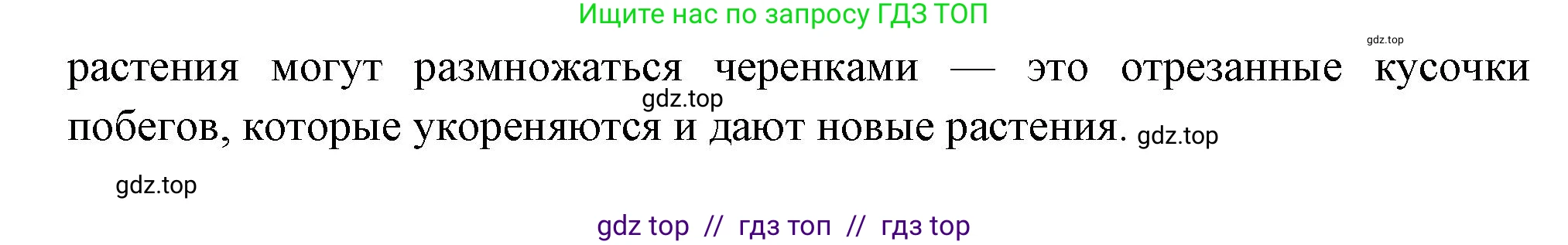 Биология, 6 класс Учебник, авторы: Пасечник Владимир Васильевич, Суматохин Сергей Витальевич, Гапонюк Зоя Георгиевна, Швецов Глеб Геннадьевич, издательство Просвещение, Москва, 2023, белого цвета, страница 142, номер 1, Решение 3 (продолжение 2)